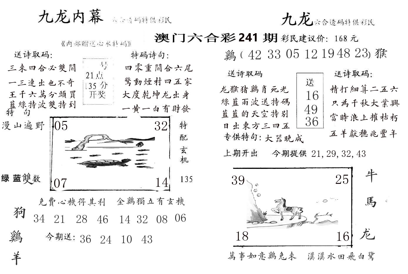 九龙内幕 第241期