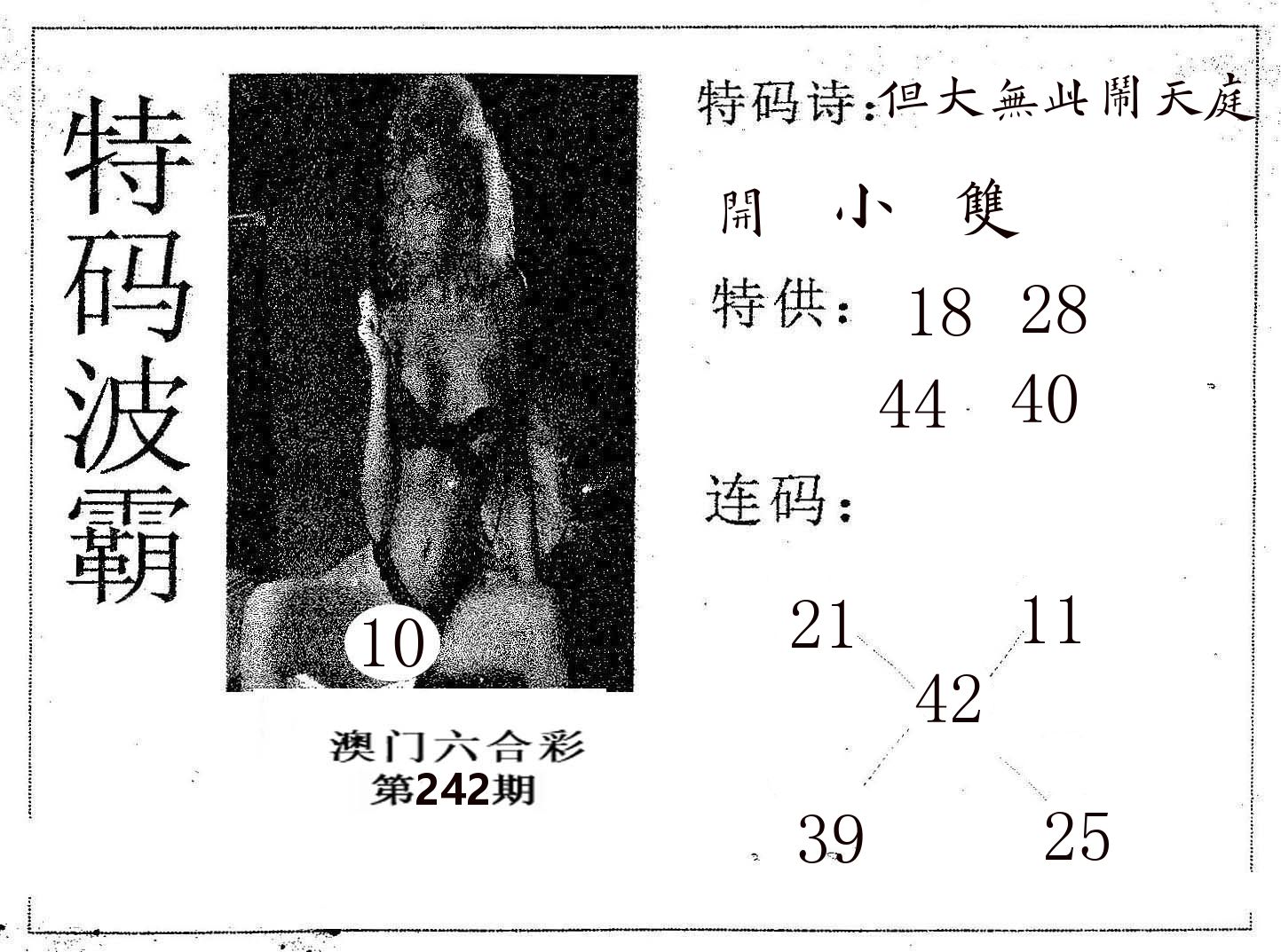 特码波霸 第242期