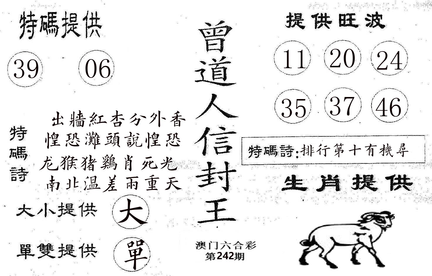 曾信封王 第242期