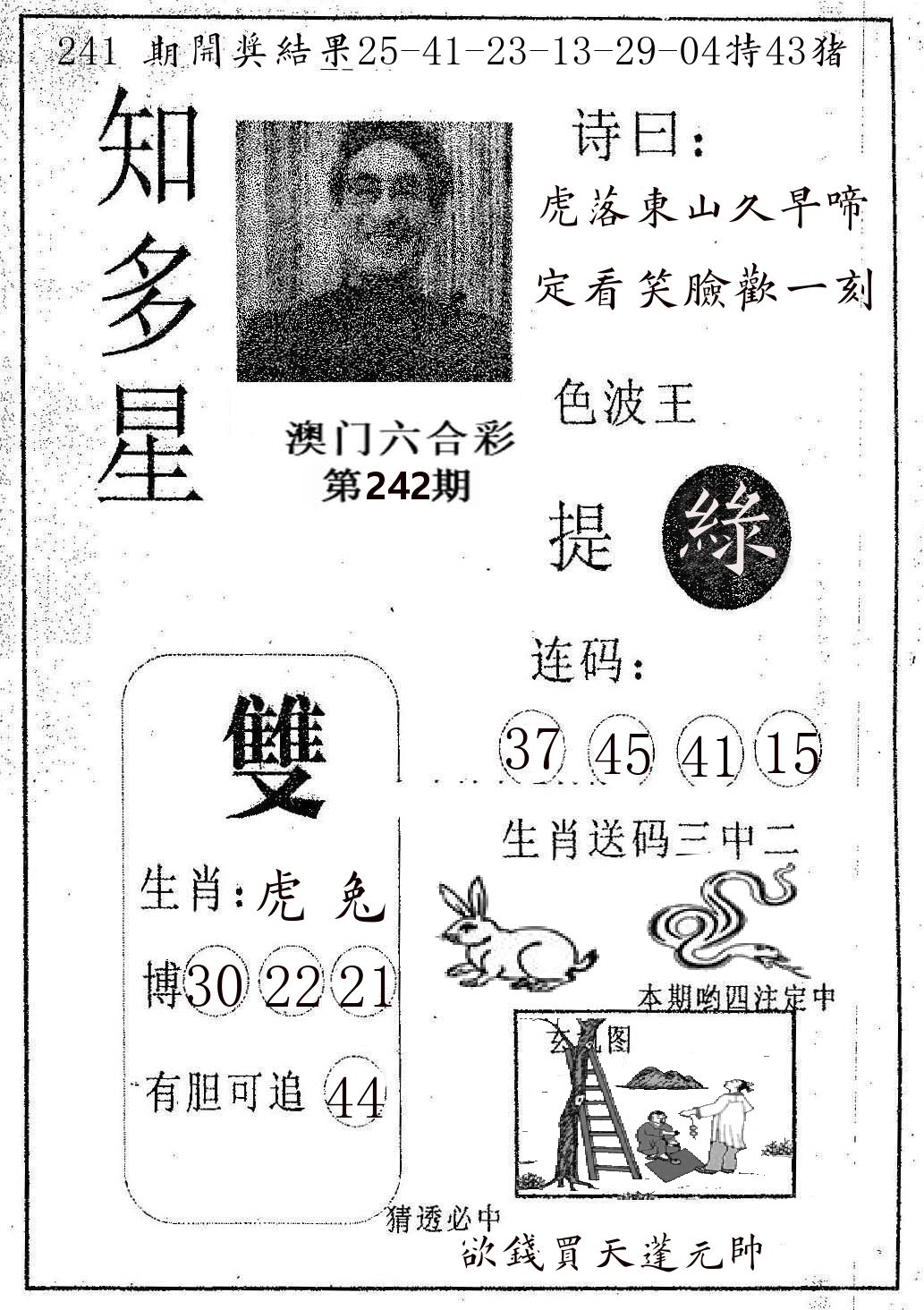 知多星 第242期