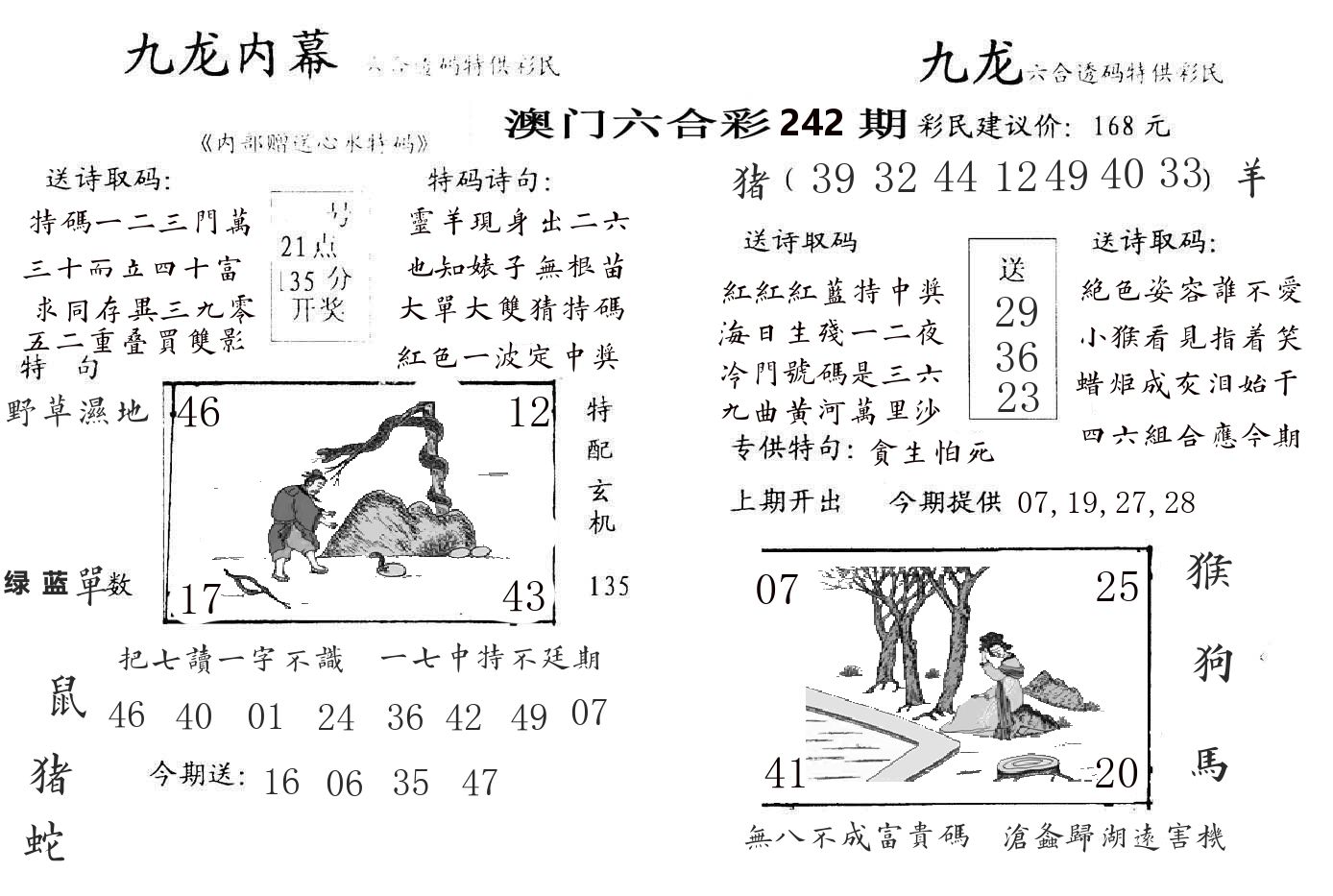 九龙内幕 第242期