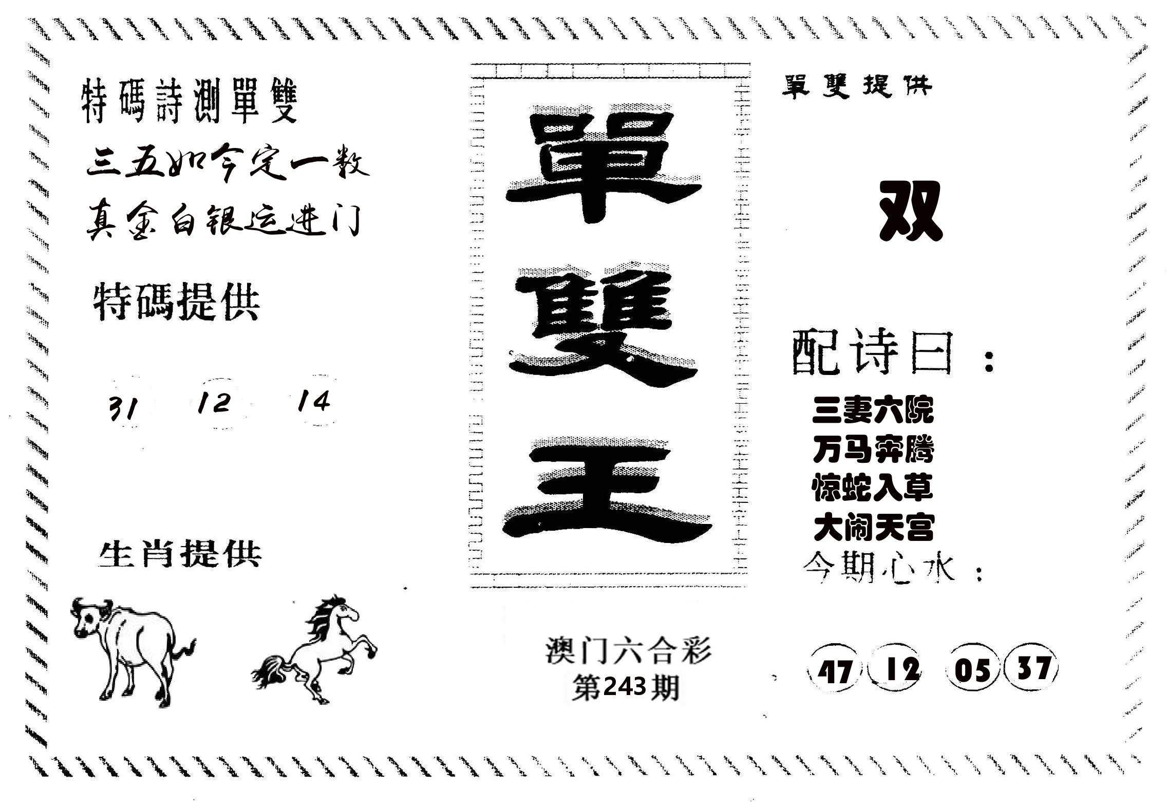 单双王B 第243期