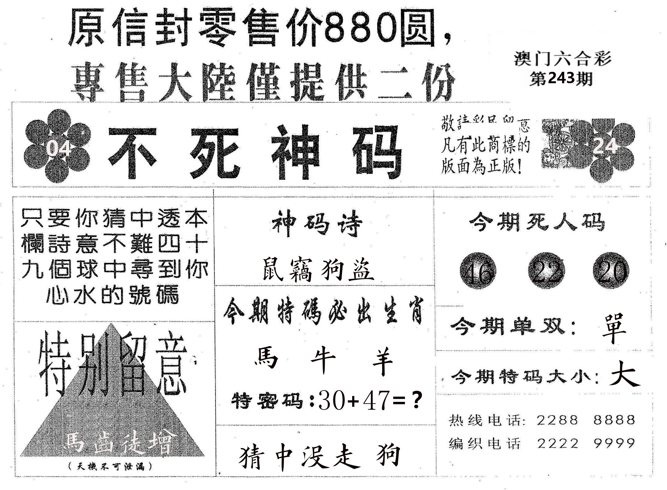 不死码B 第243期