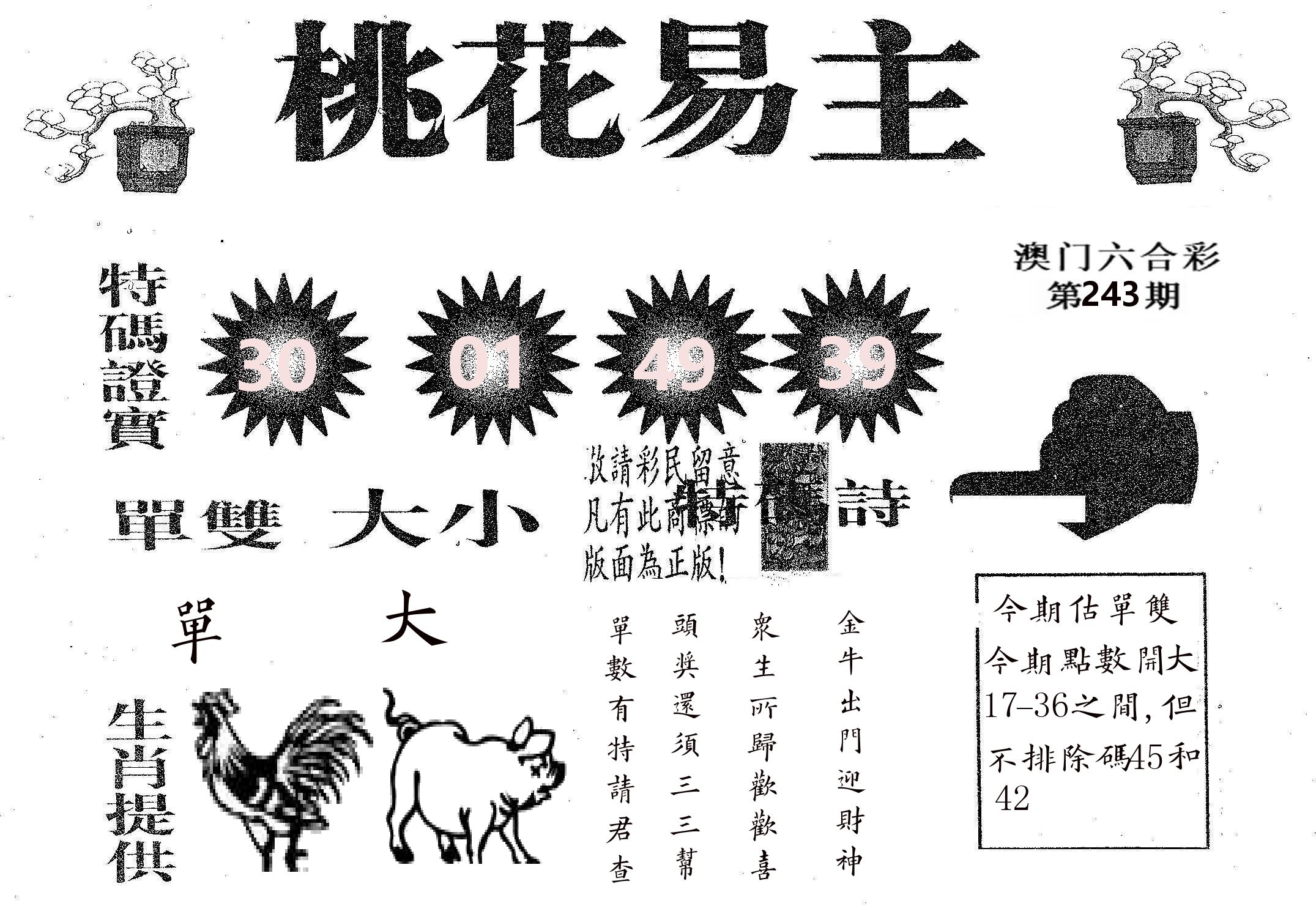 桃花易主 第243期