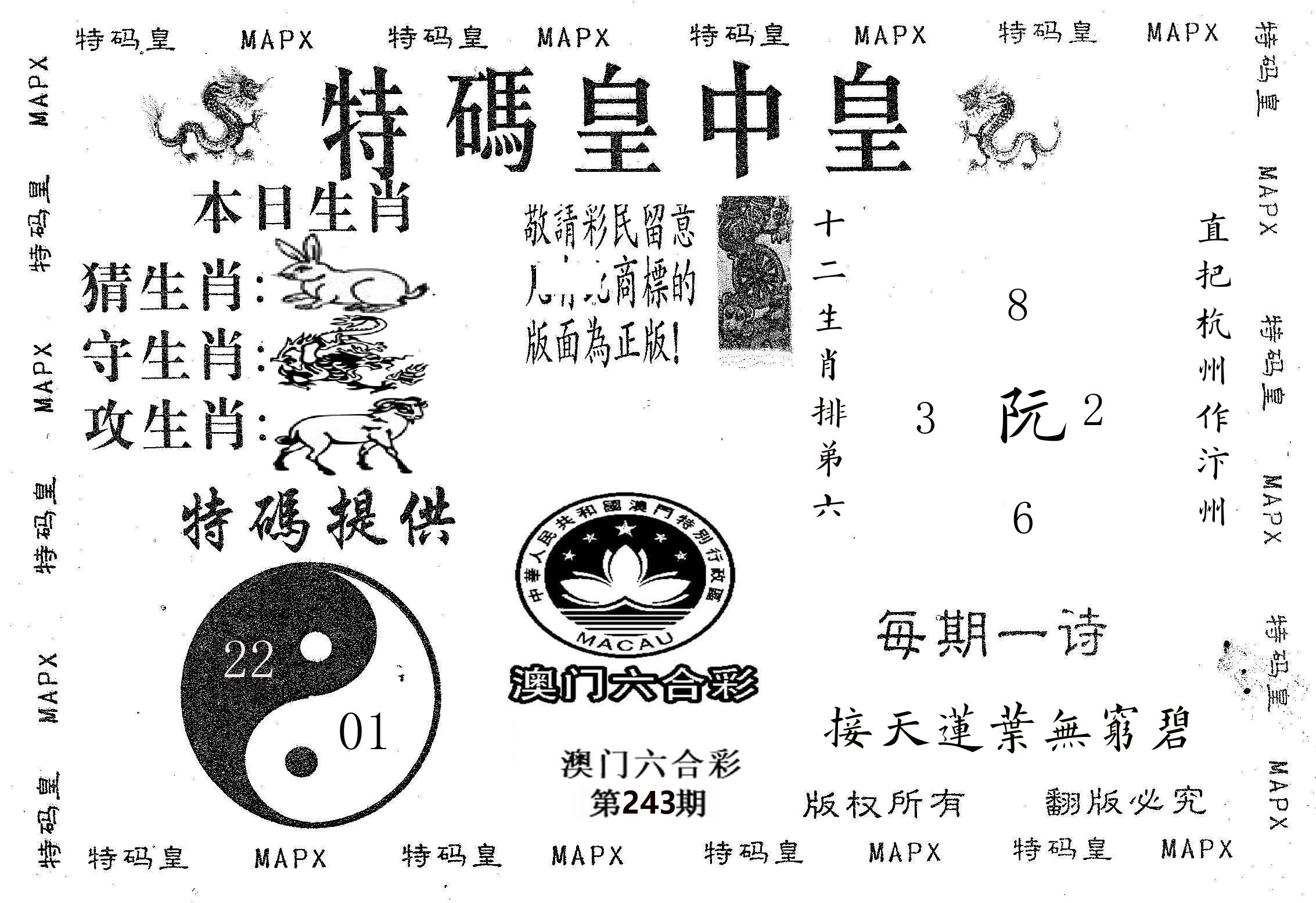 皇中皇B 第243期