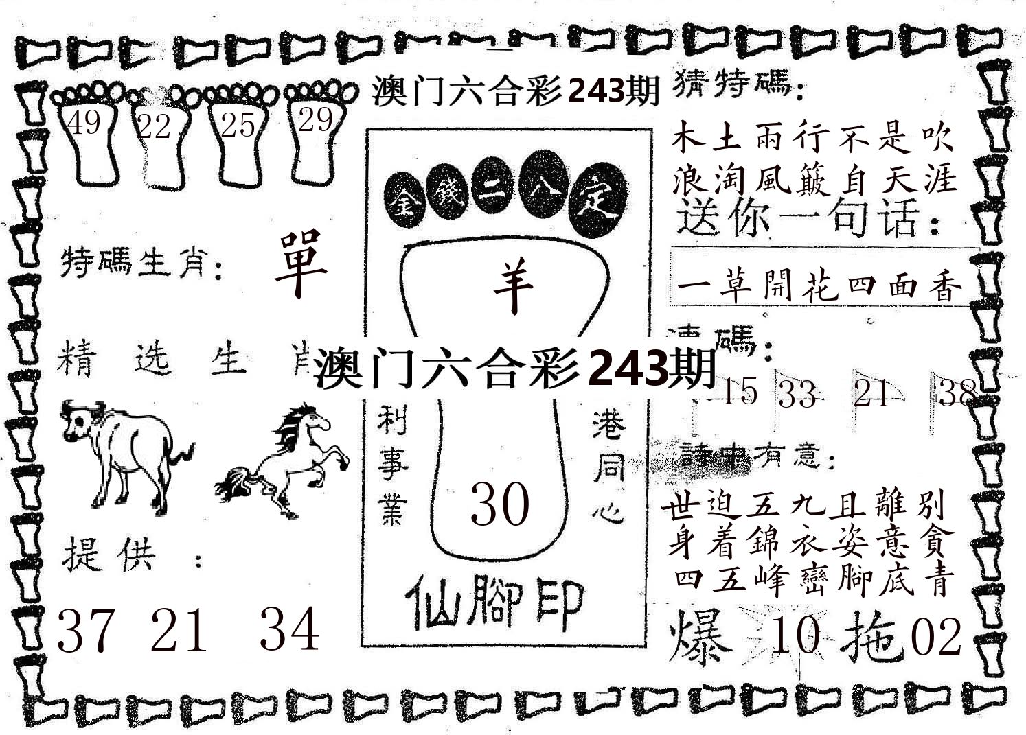 仙脚印 第243期
