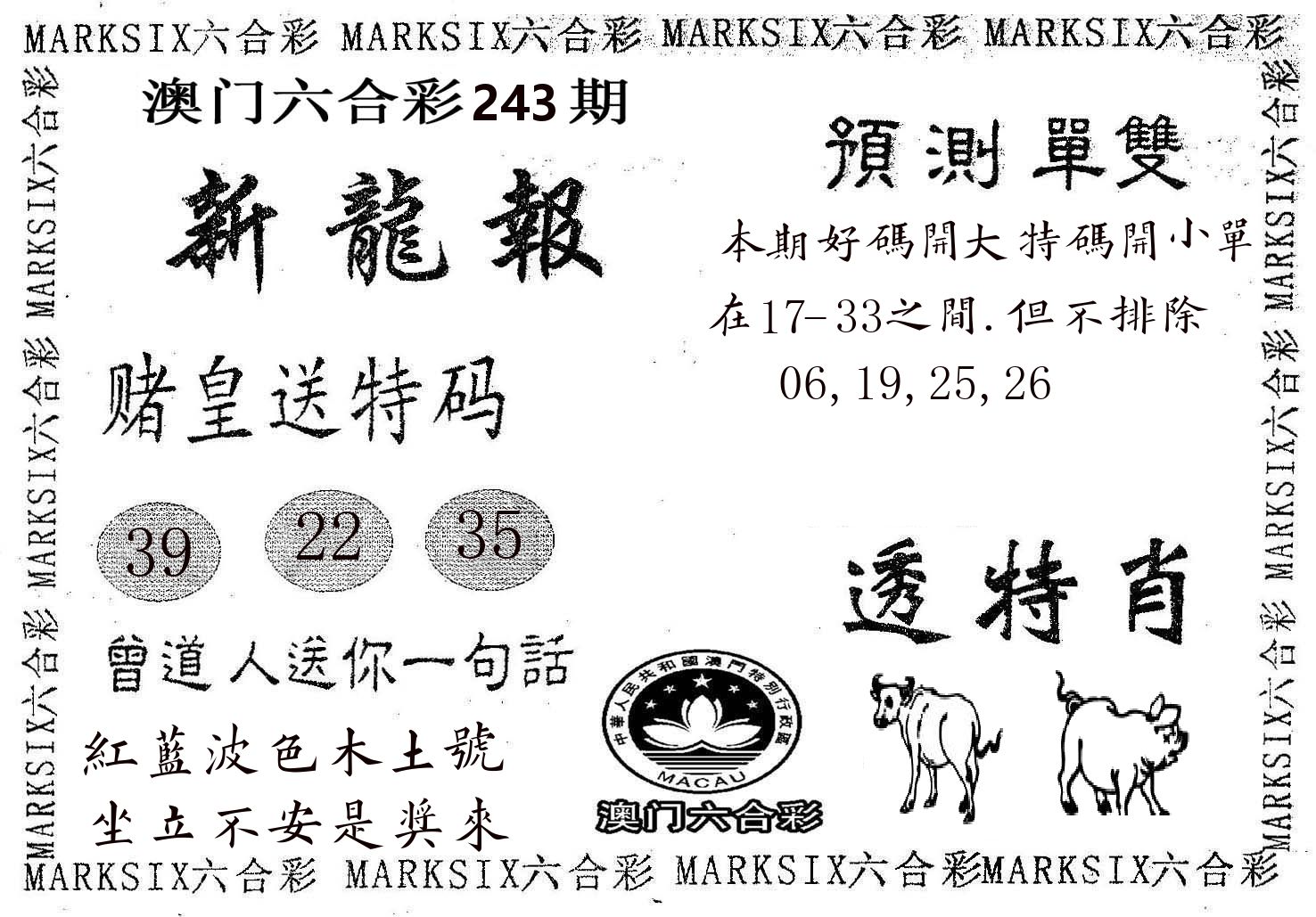 新龙报 第243期