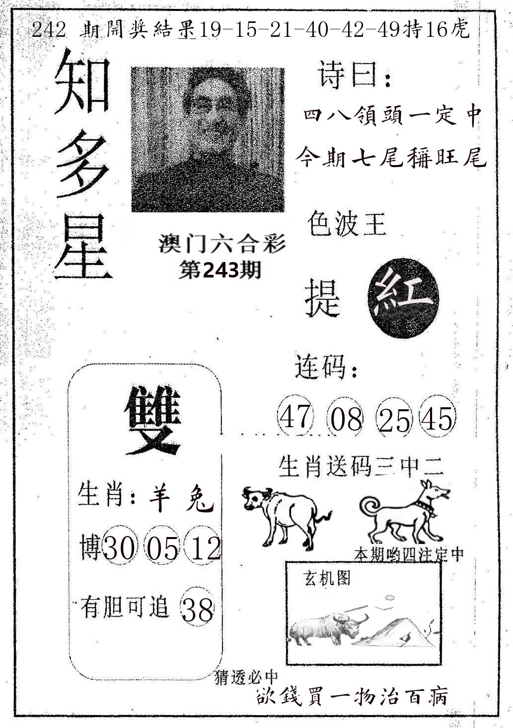 知多星 第243期