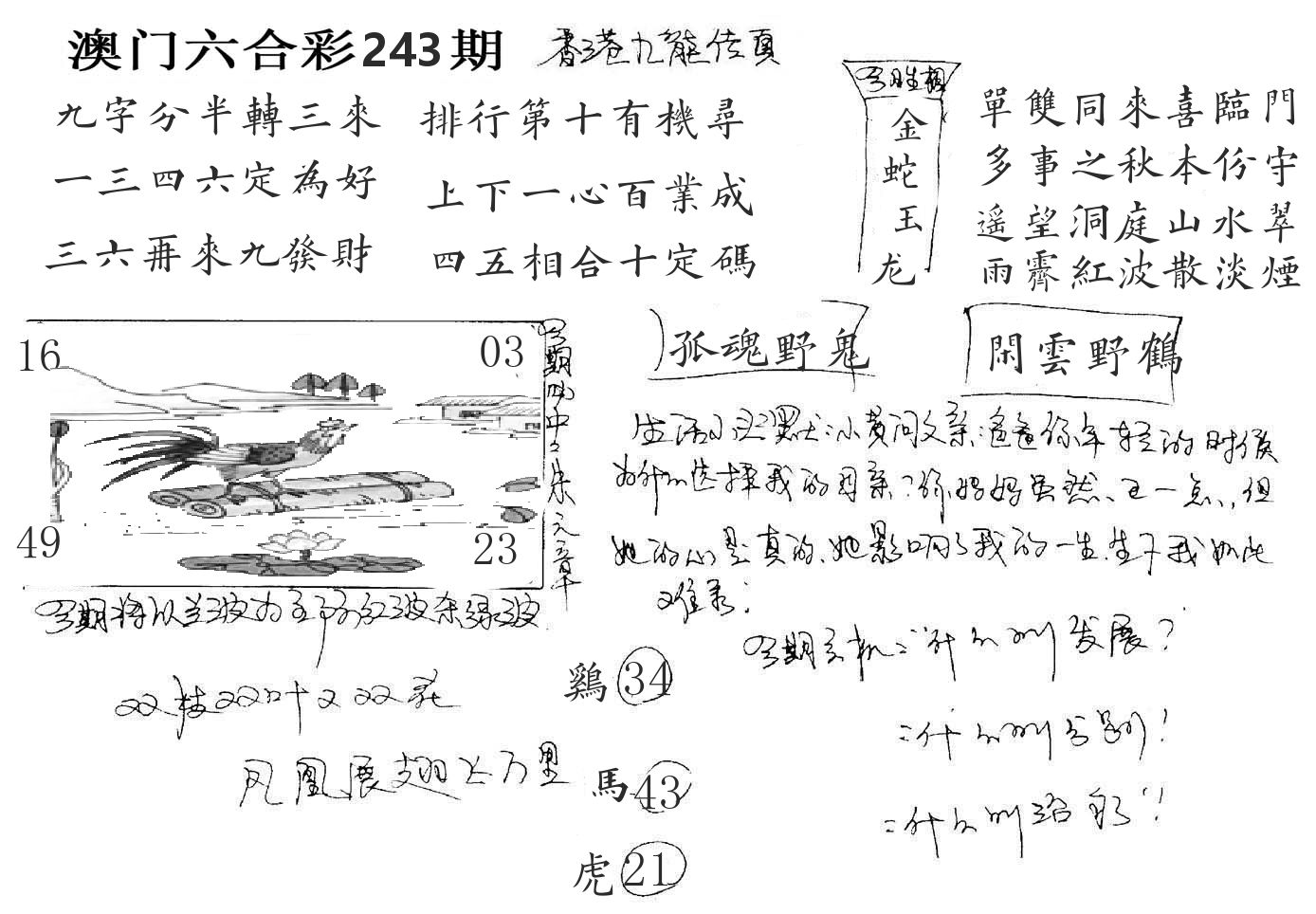 澳门手写九龙 第243期
