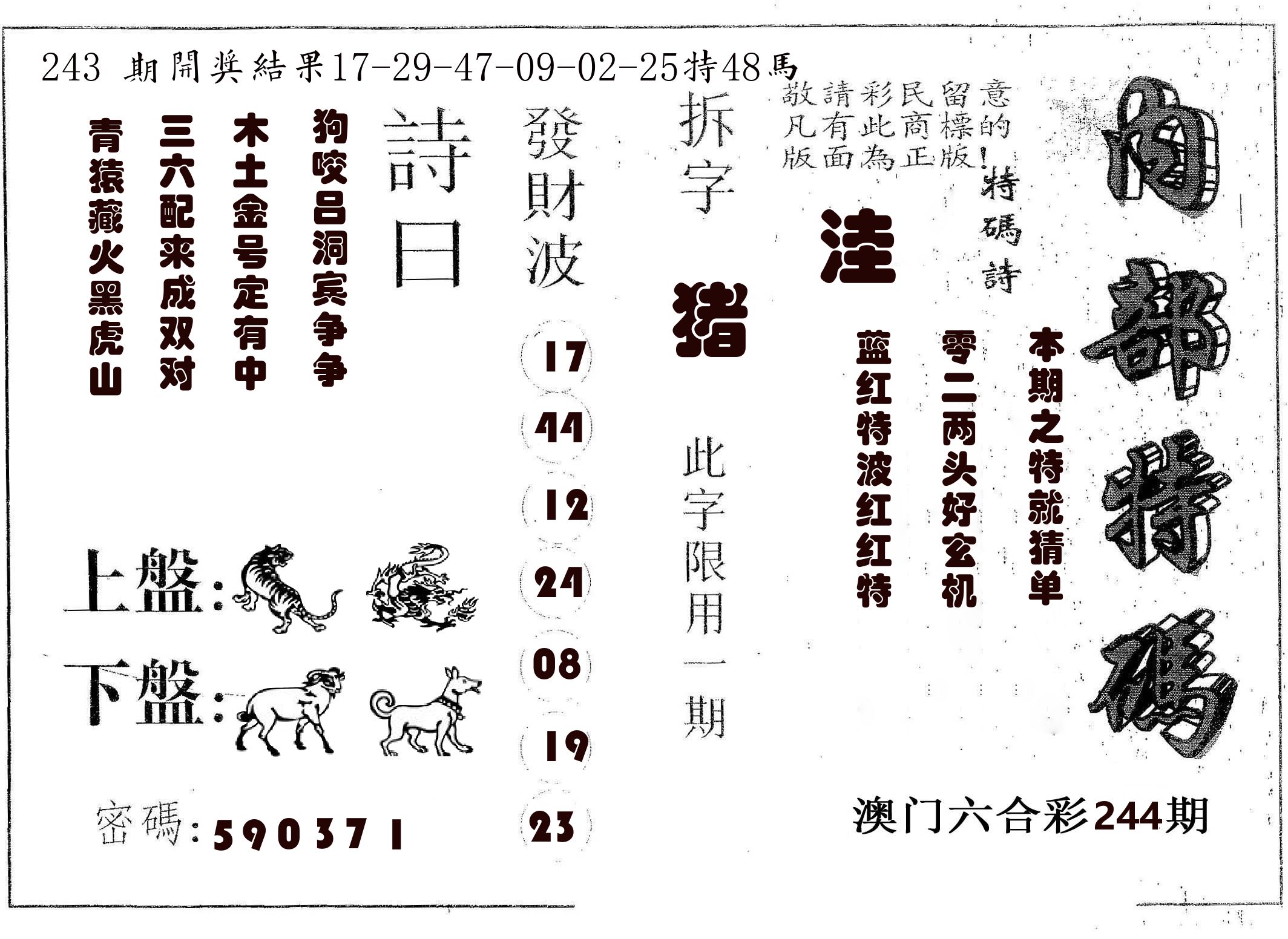 内部特码 第244期