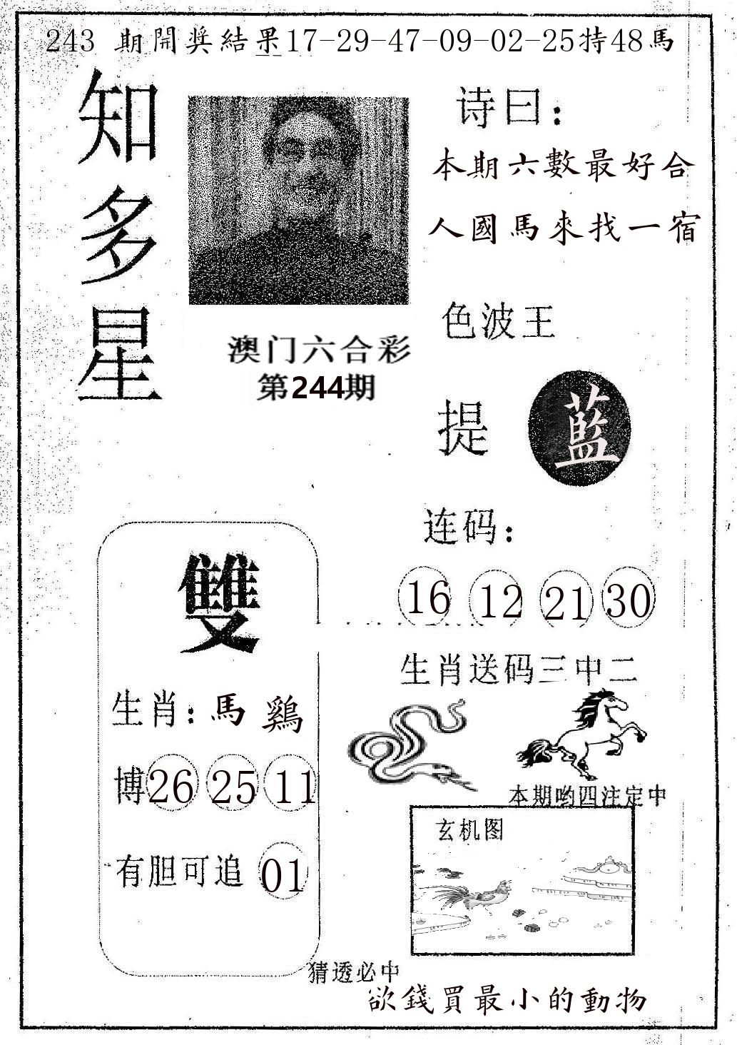 知多星 第244期