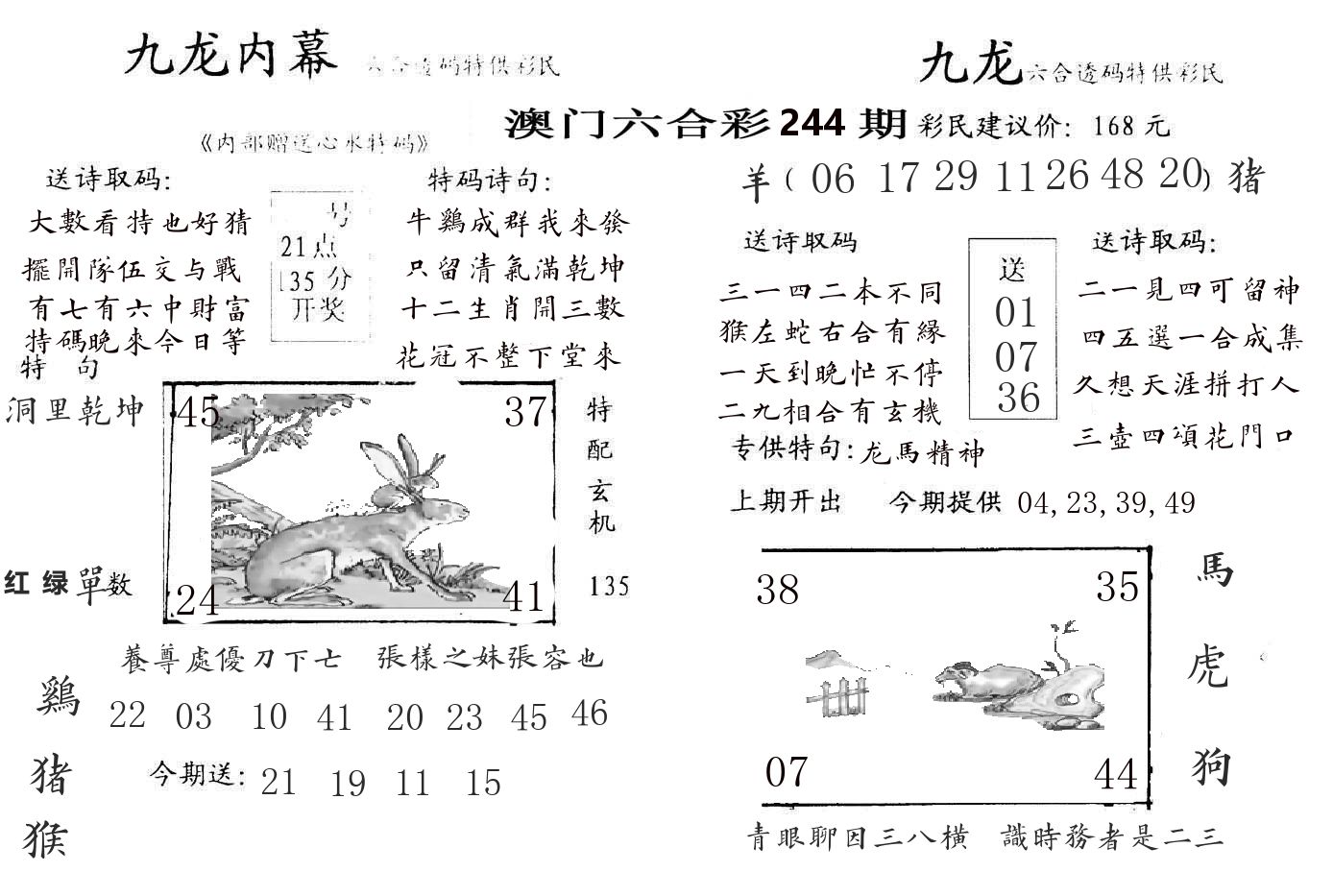 九龙内幕 第244期