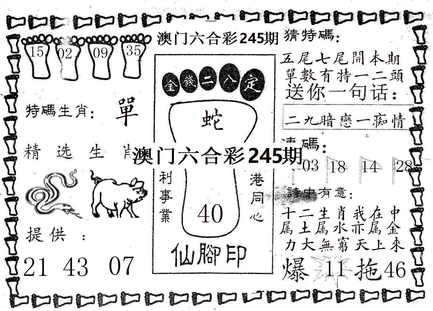 仙脚印 第245期