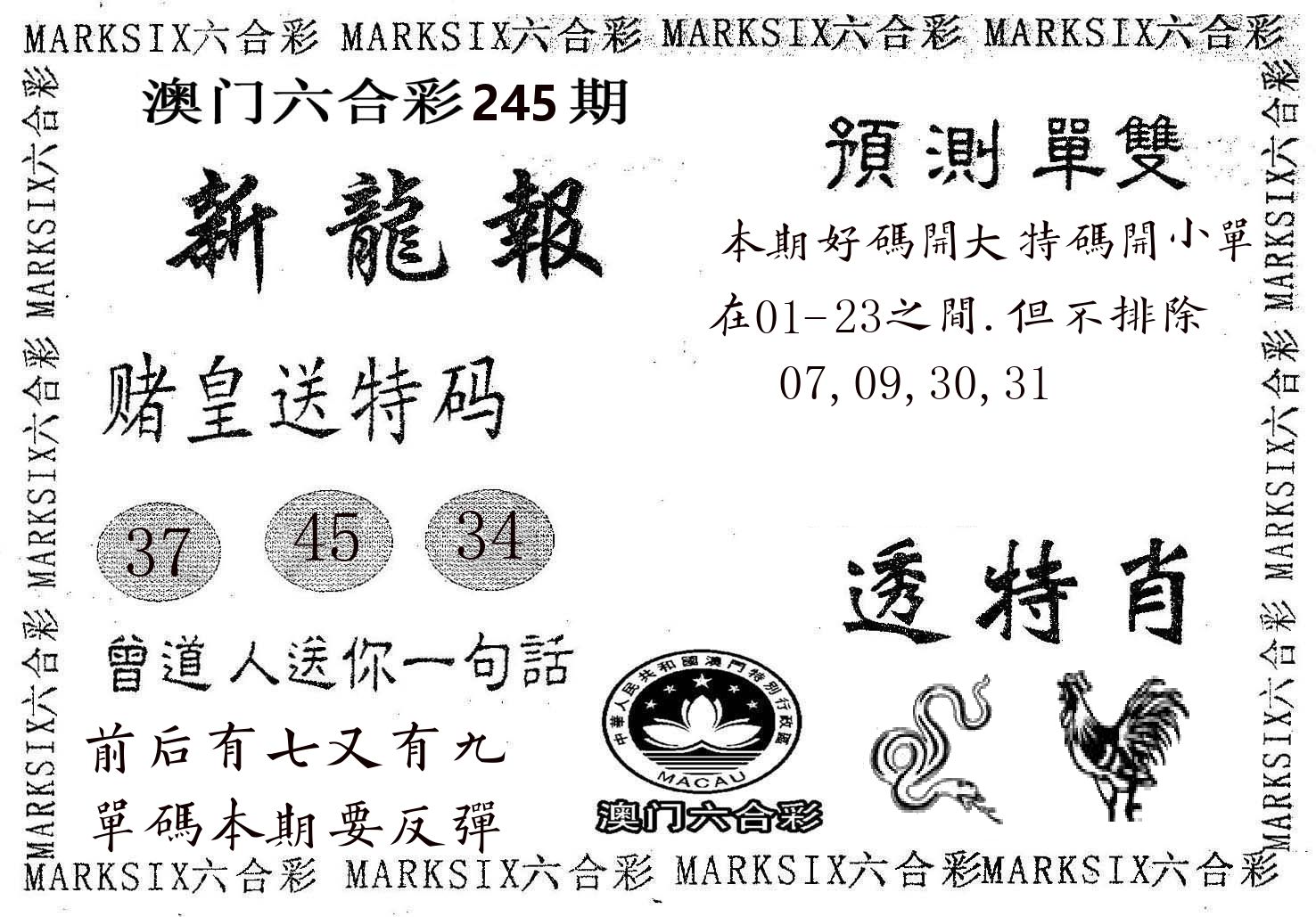 新龙报 第245期