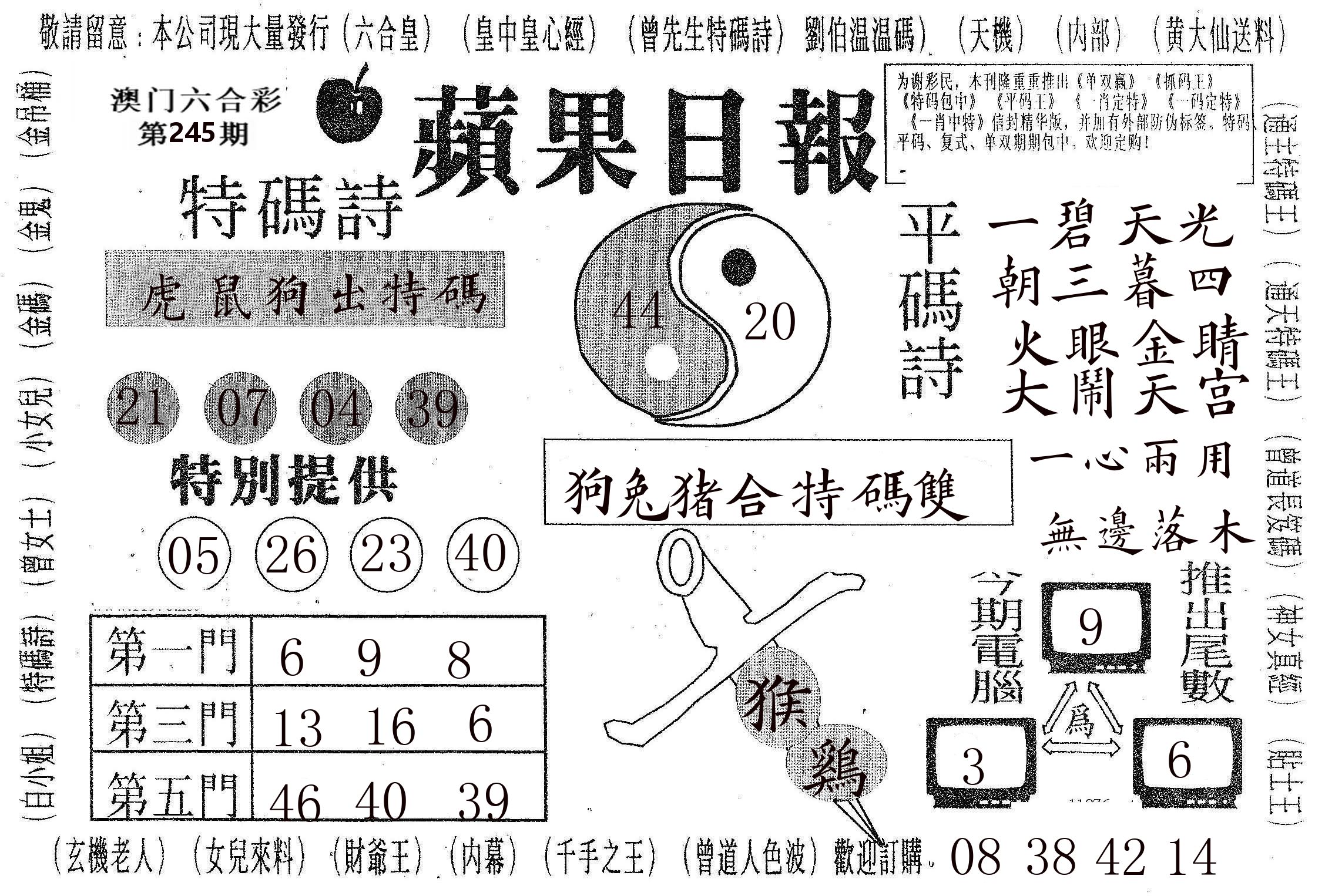 新苹果日报 第245期
