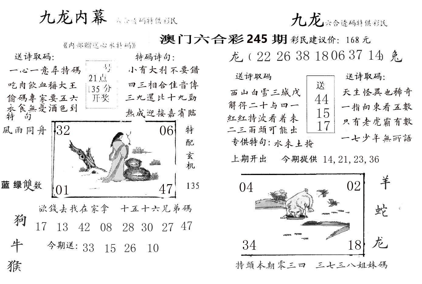 九龙内幕 第245期