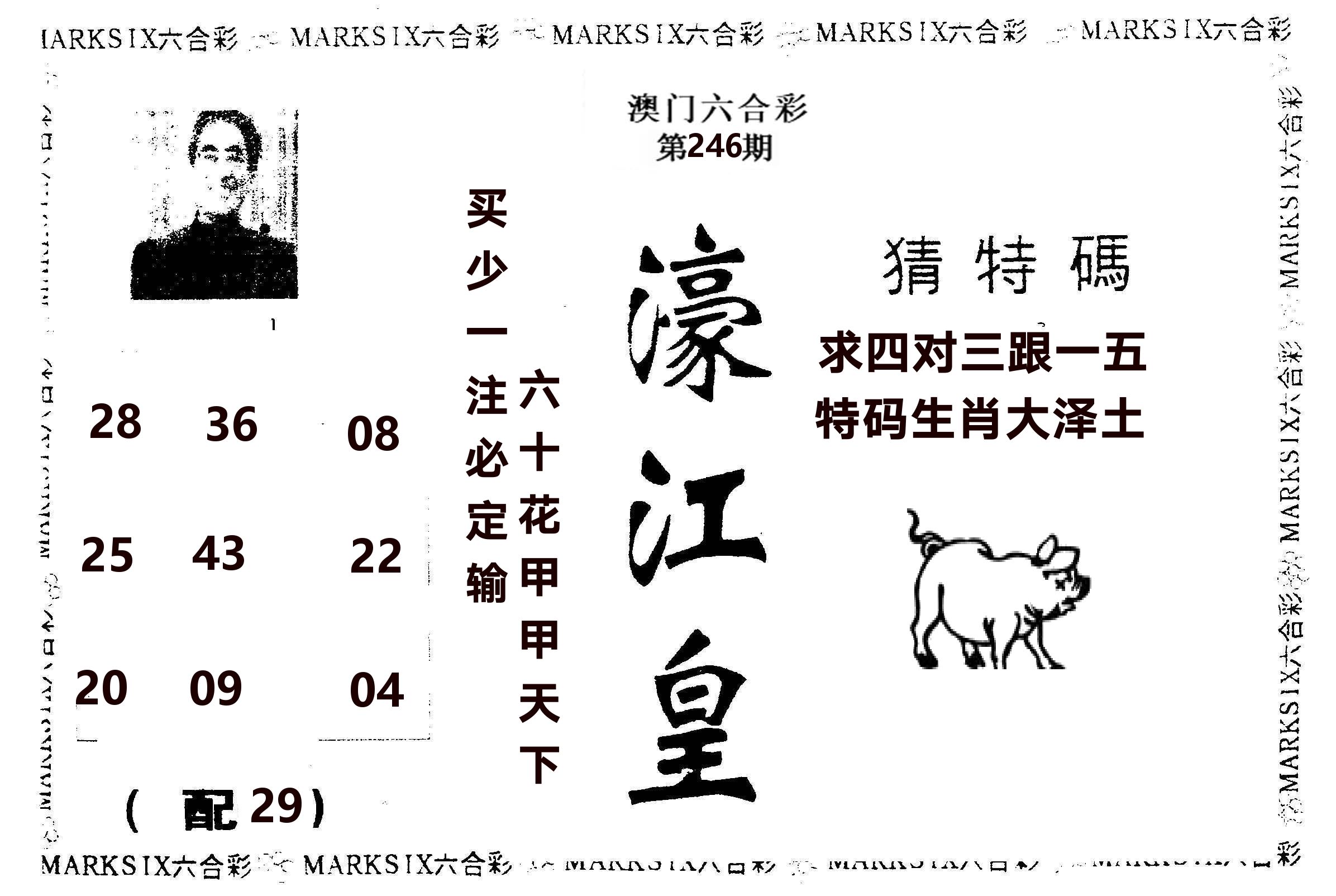 濠江皇 第246期