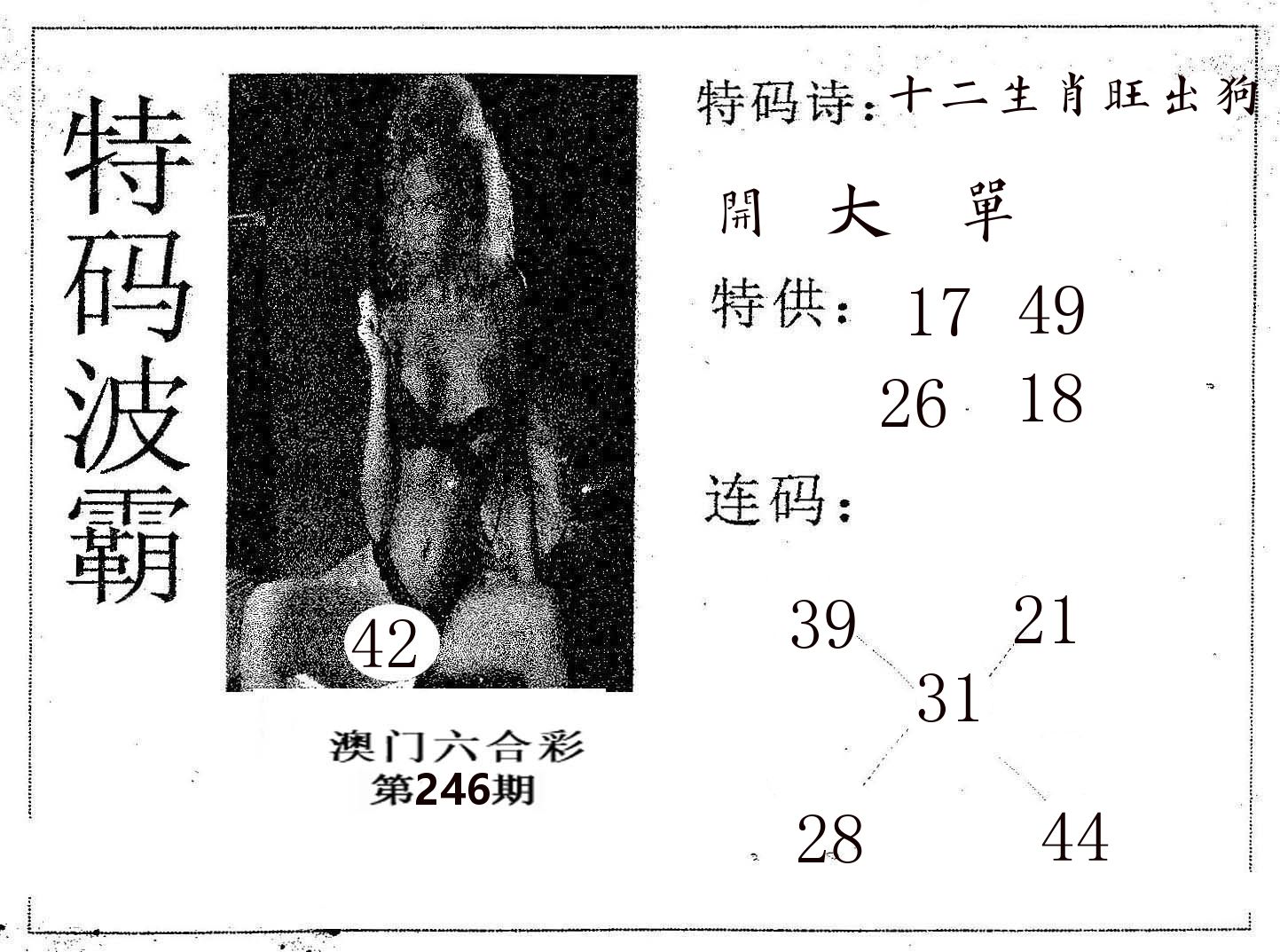 特码波霸 第246期