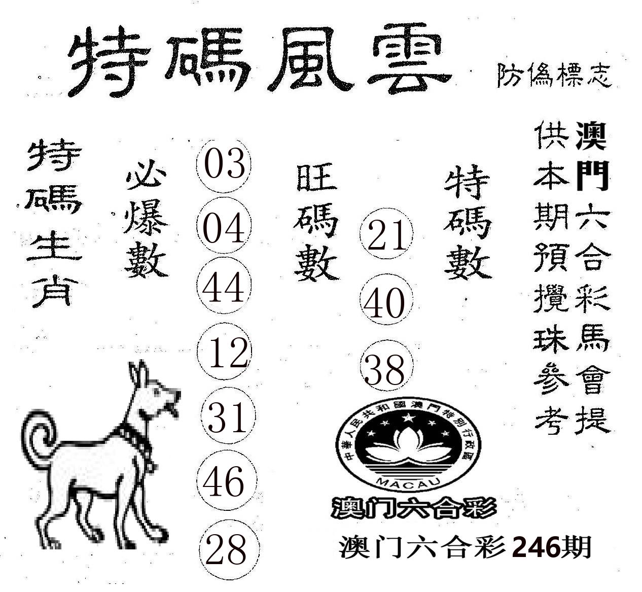 特码风云 第246期