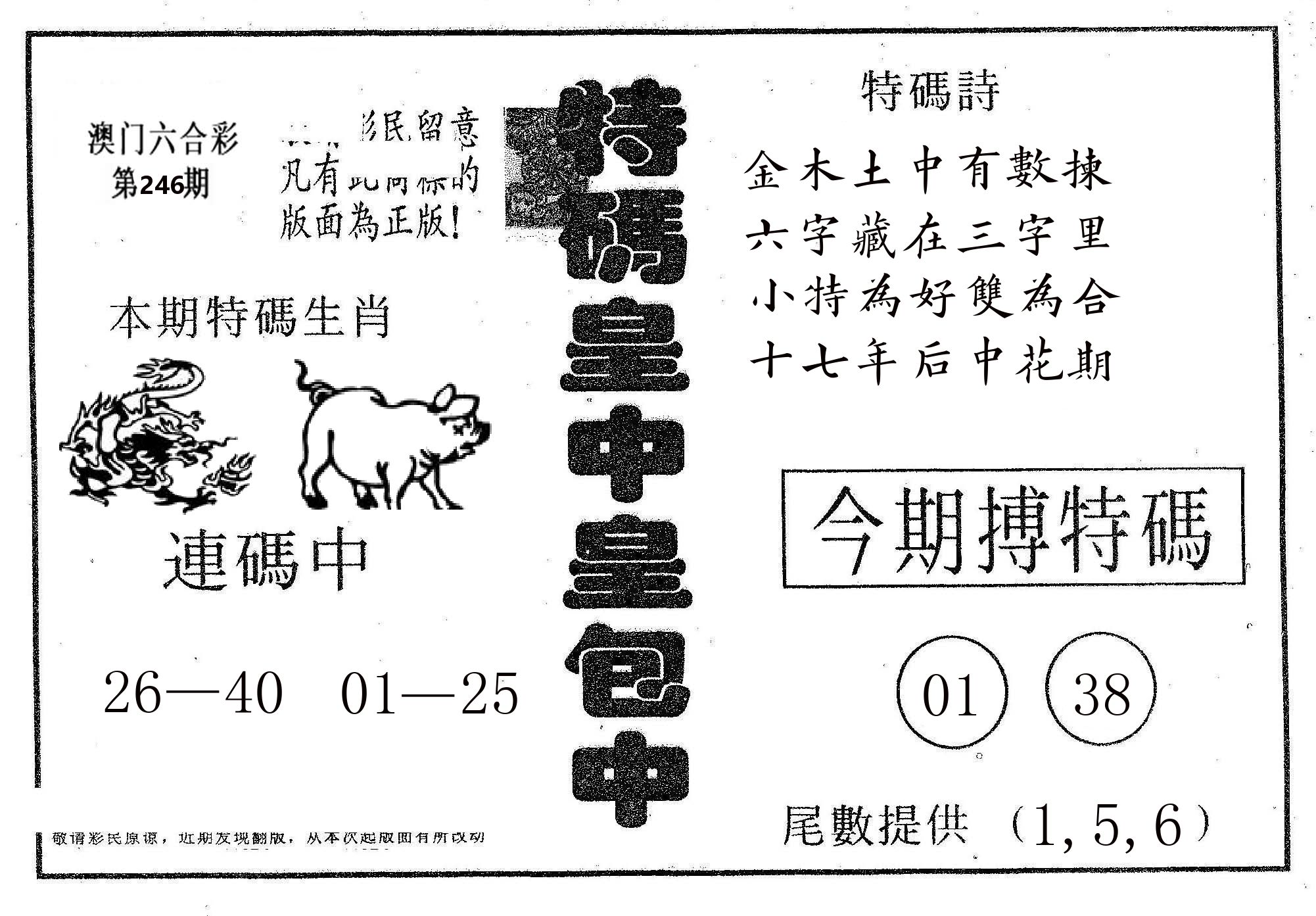 皇中皇A 第246期