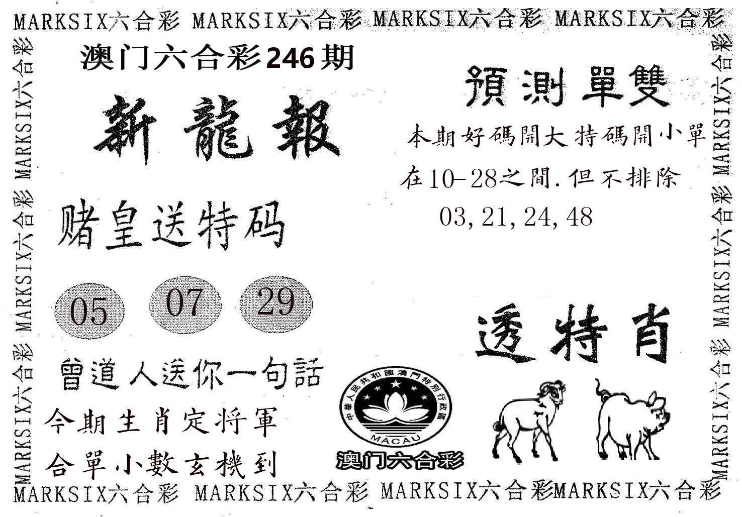 新龙报 第246期