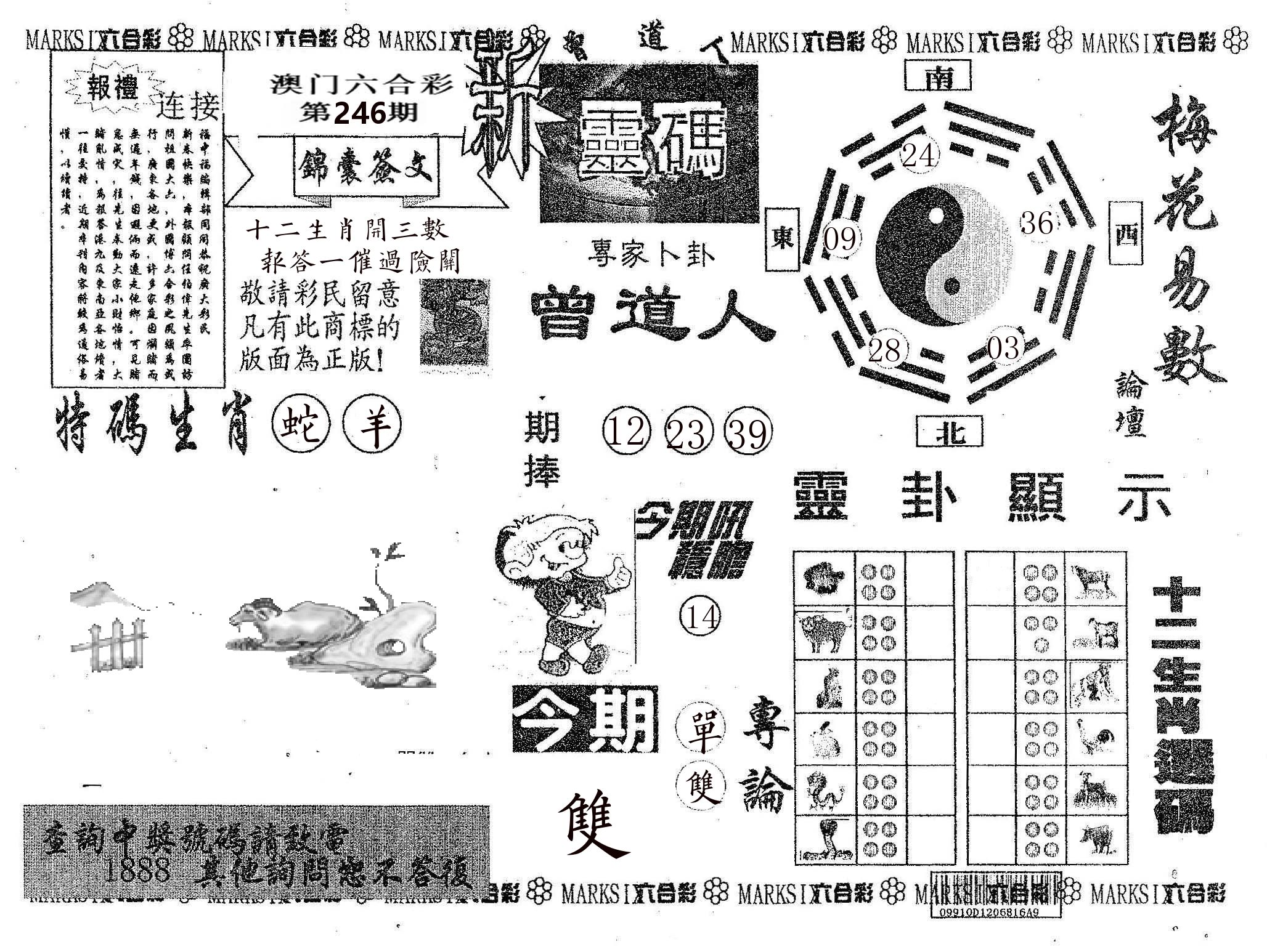 新灵码 第246期
