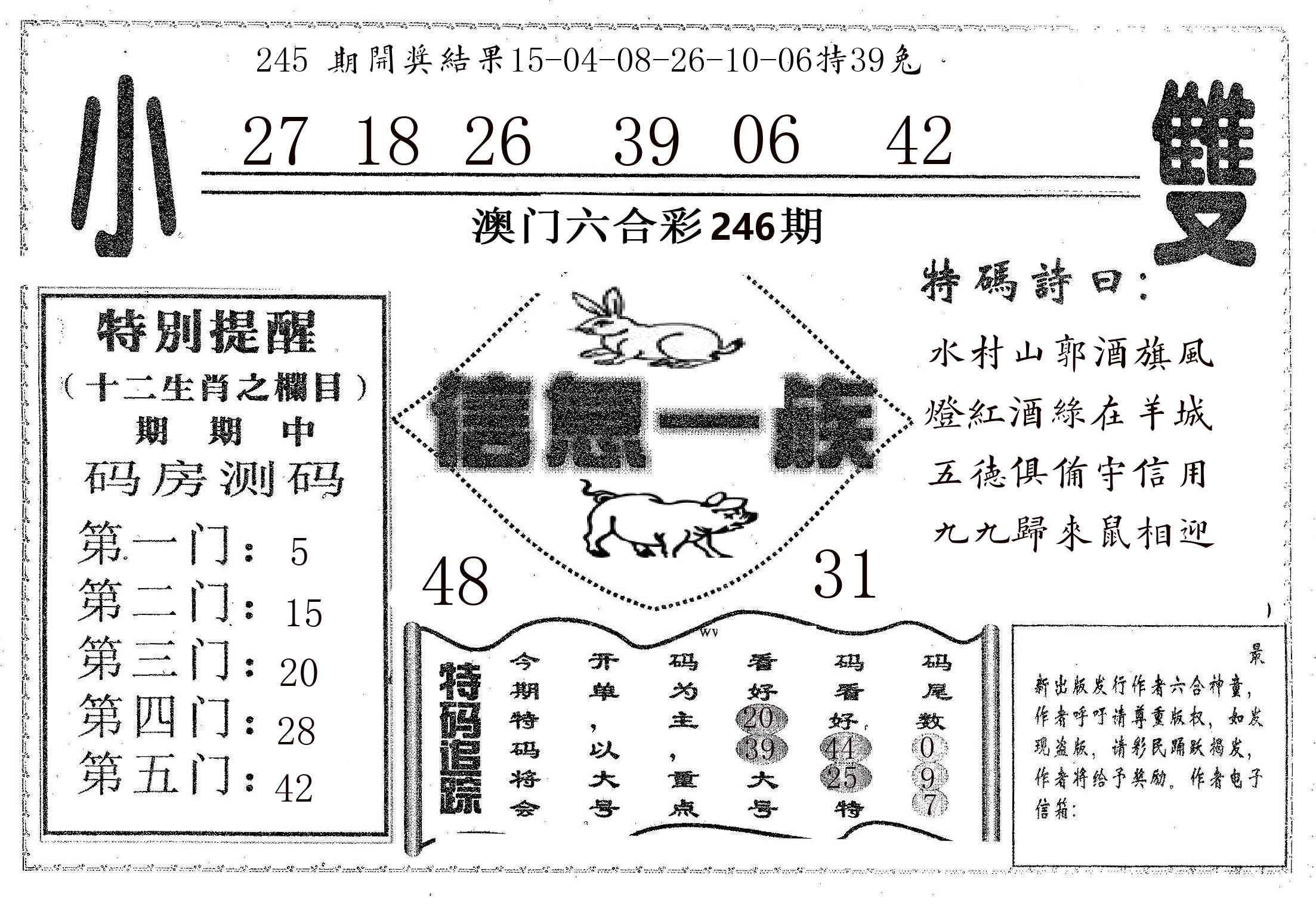 信息一族 第246期