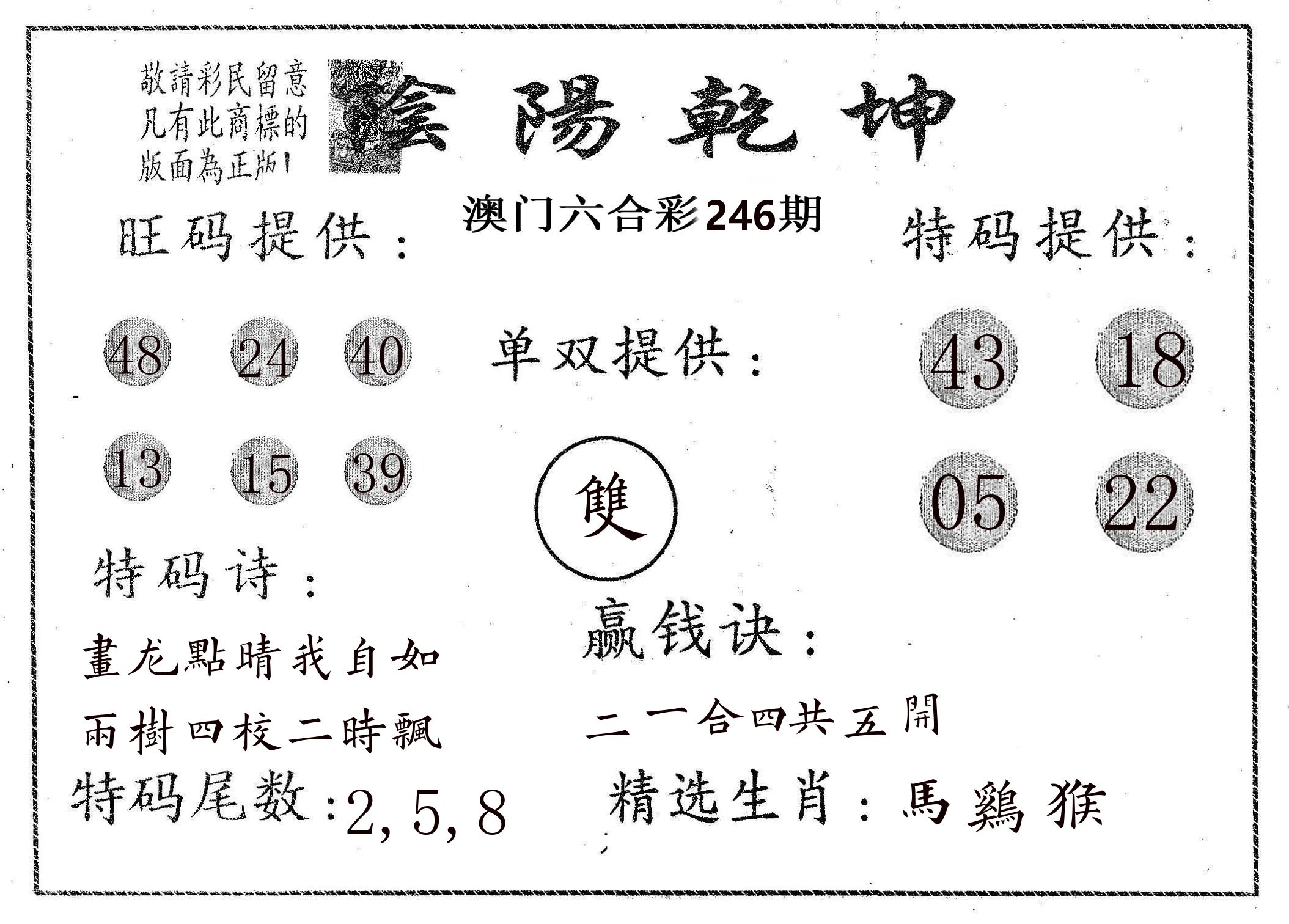 阴阳乾坤 第246期