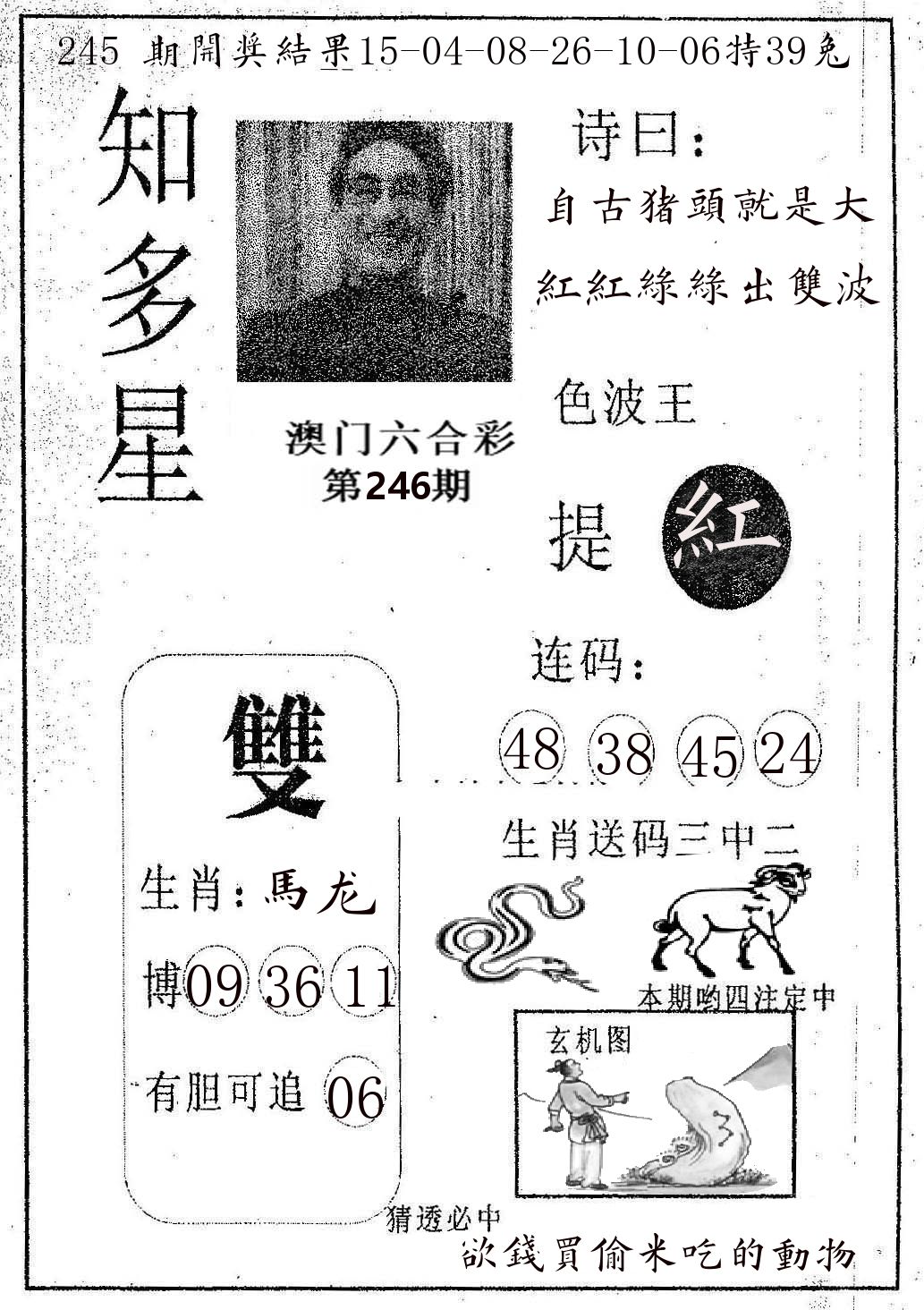 知多星 第246期