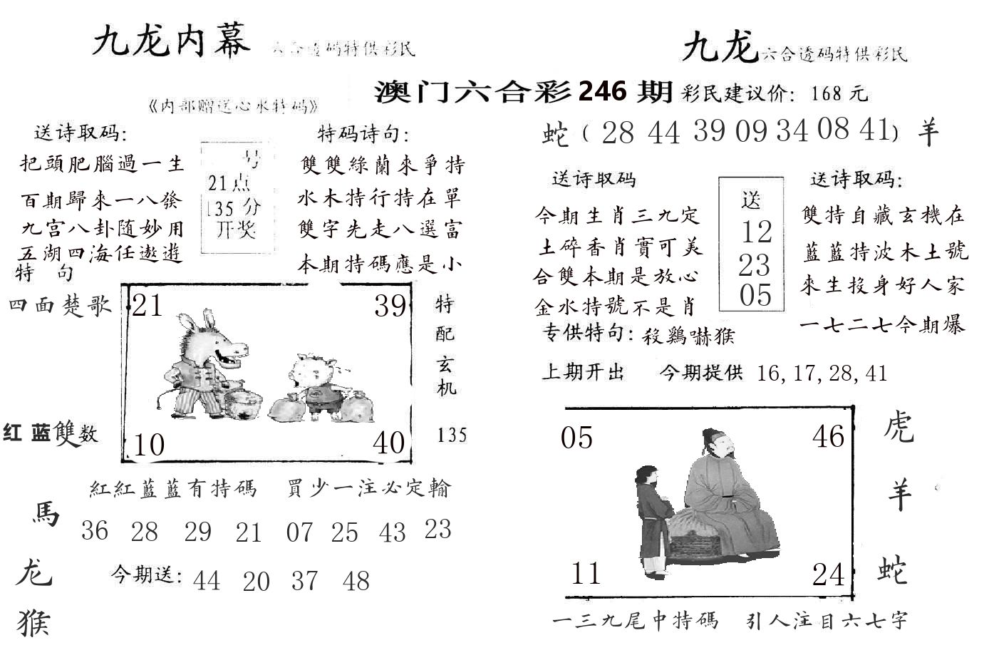 九龙内幕 第246期