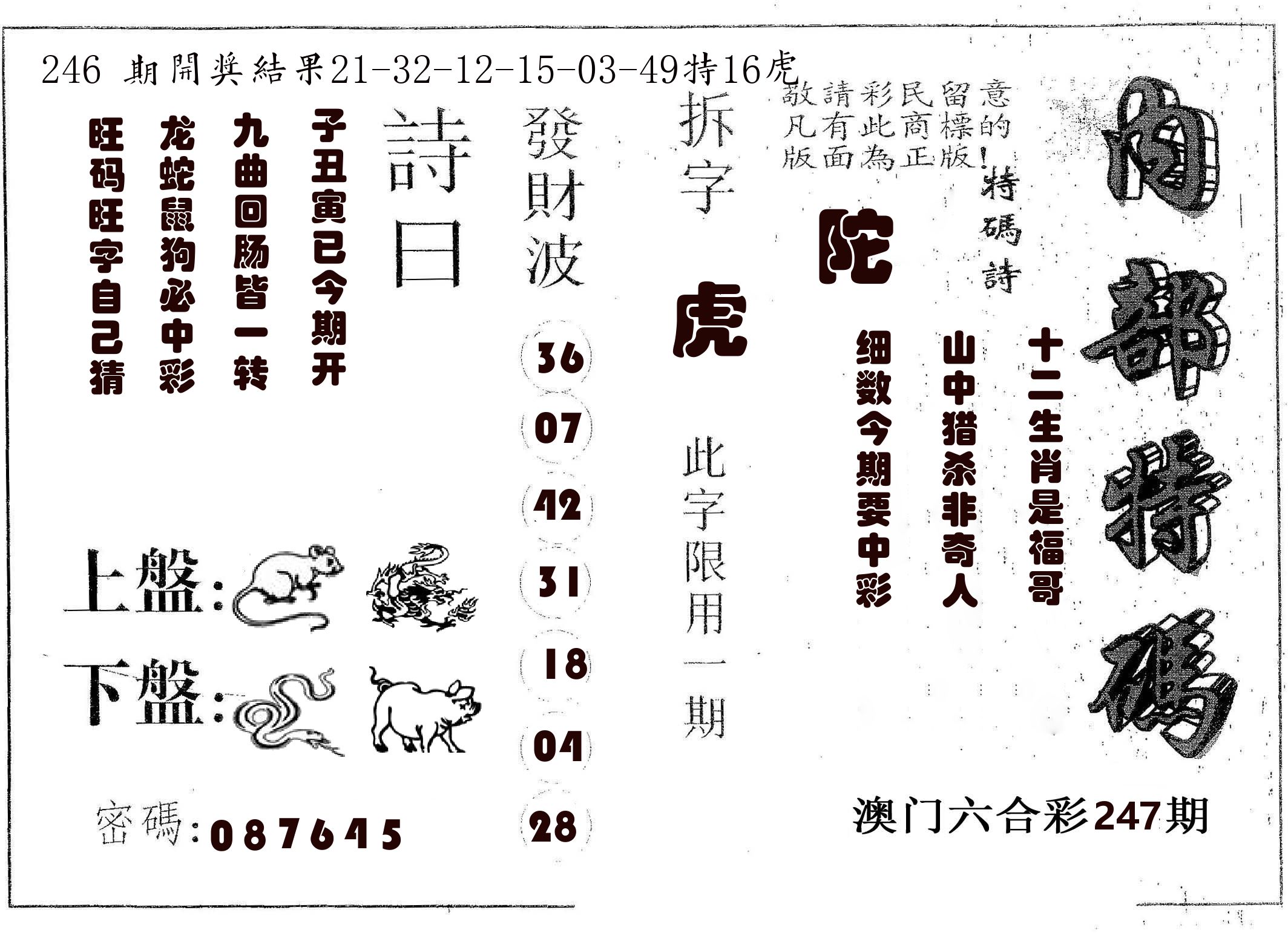 内部特码 第247期