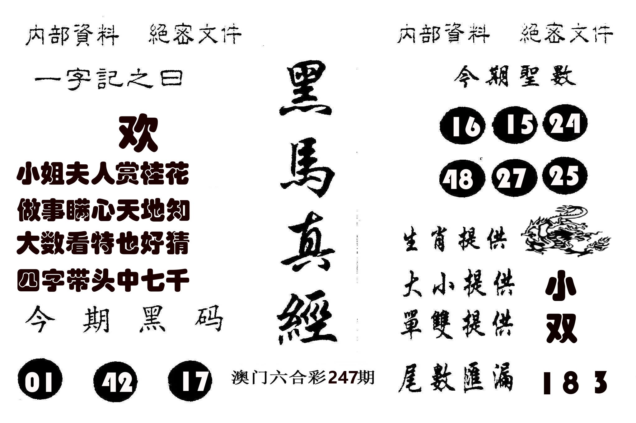 黑马真经 第247期