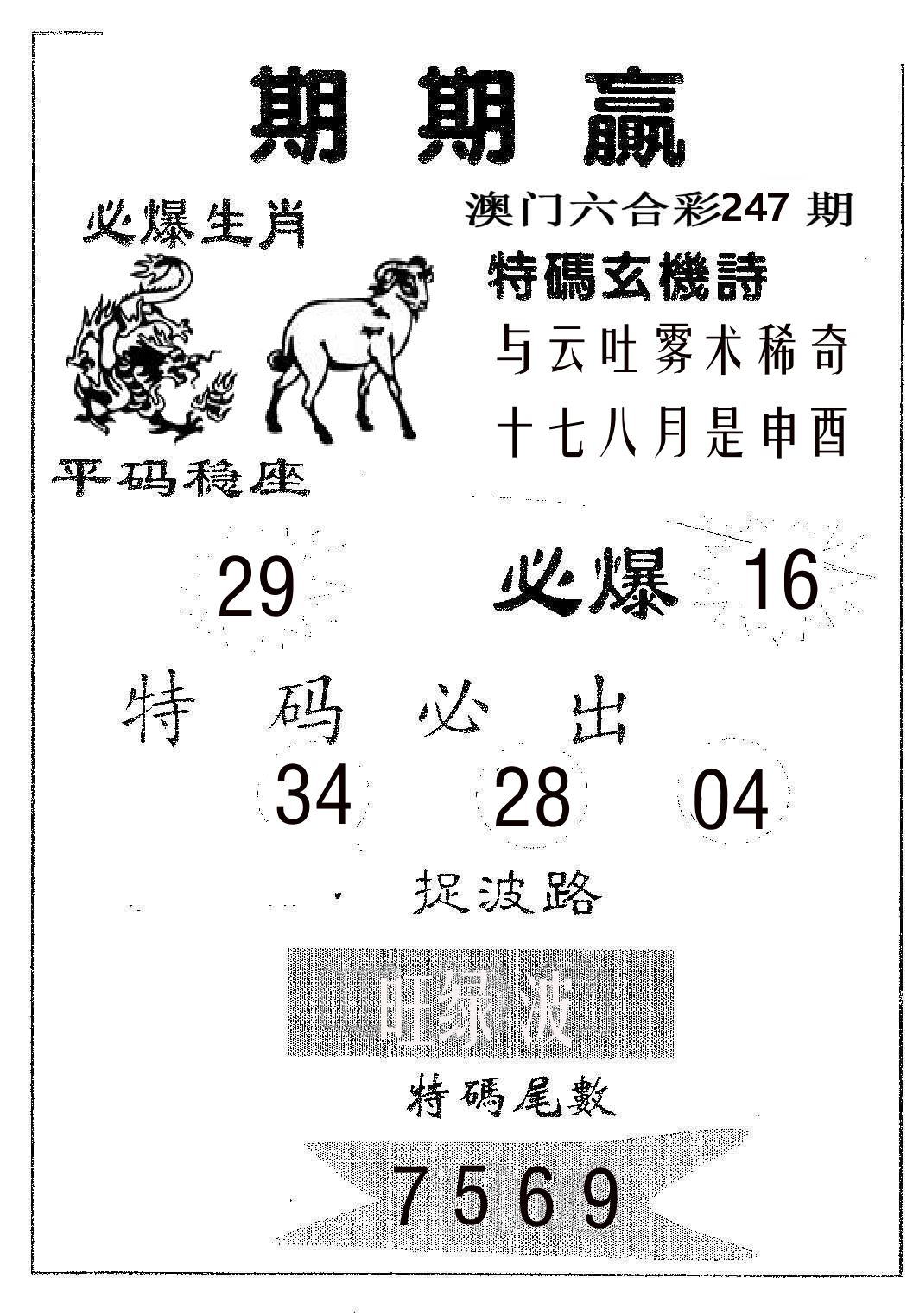 期期赢 第247期
