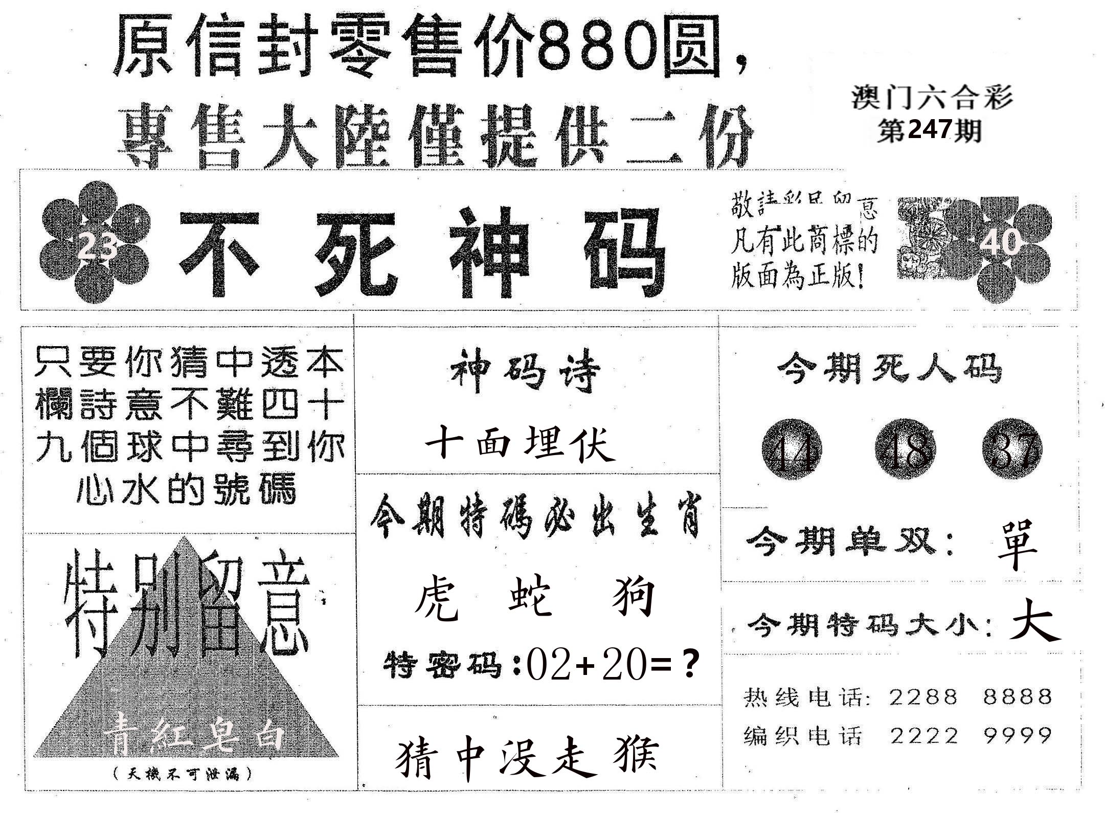 不死码B 第247期