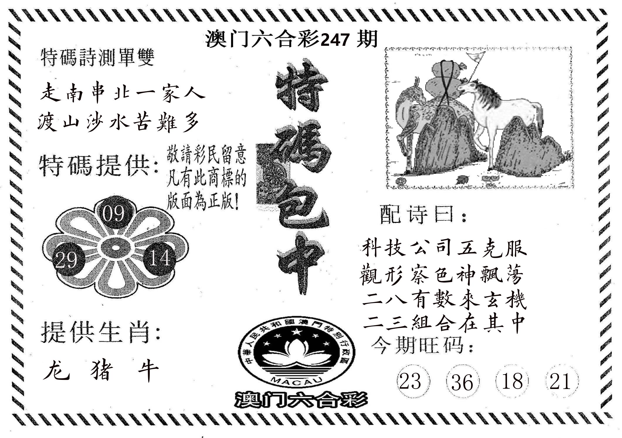 特码包中 第247期