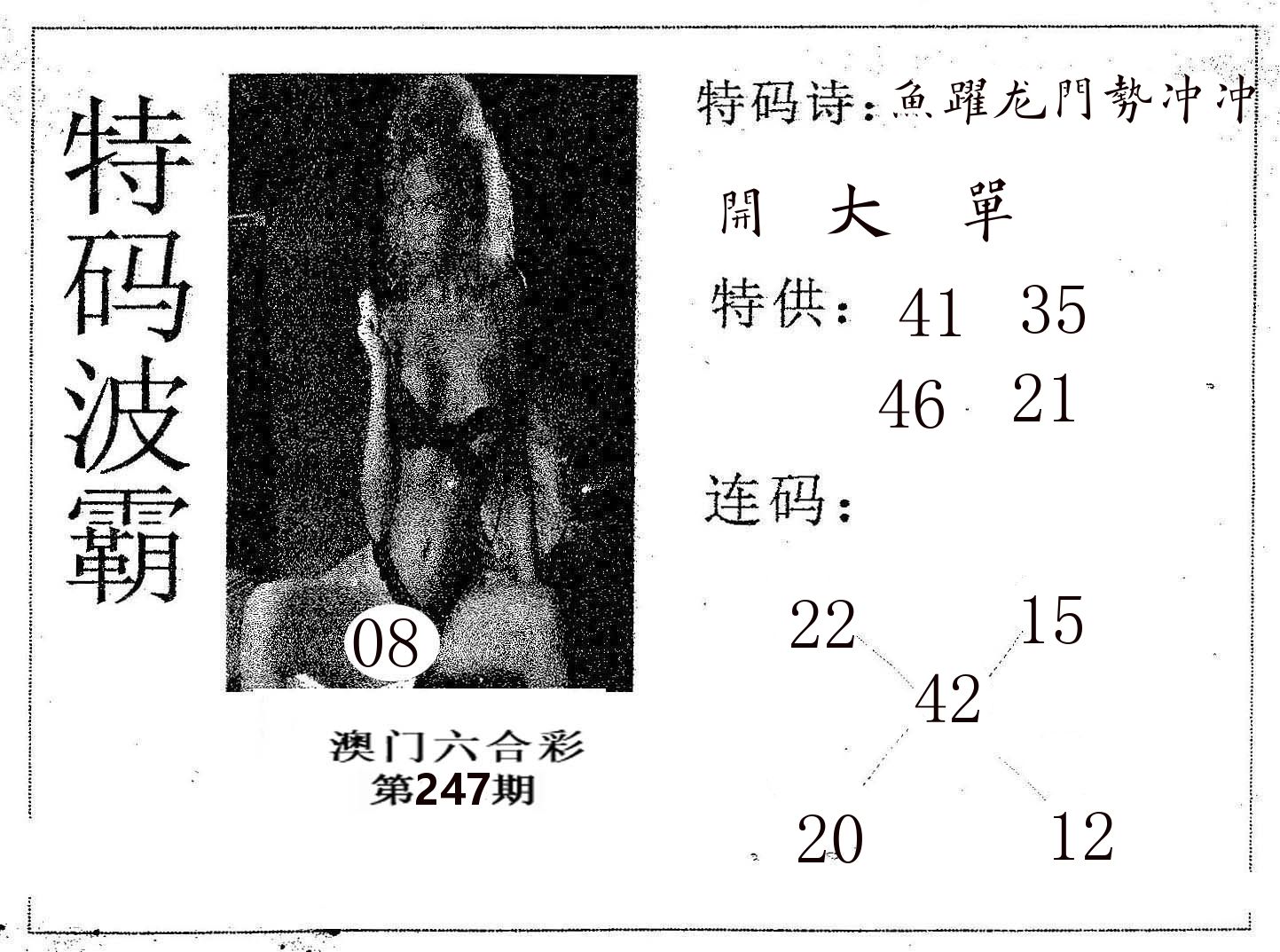 特码波霸 第247期