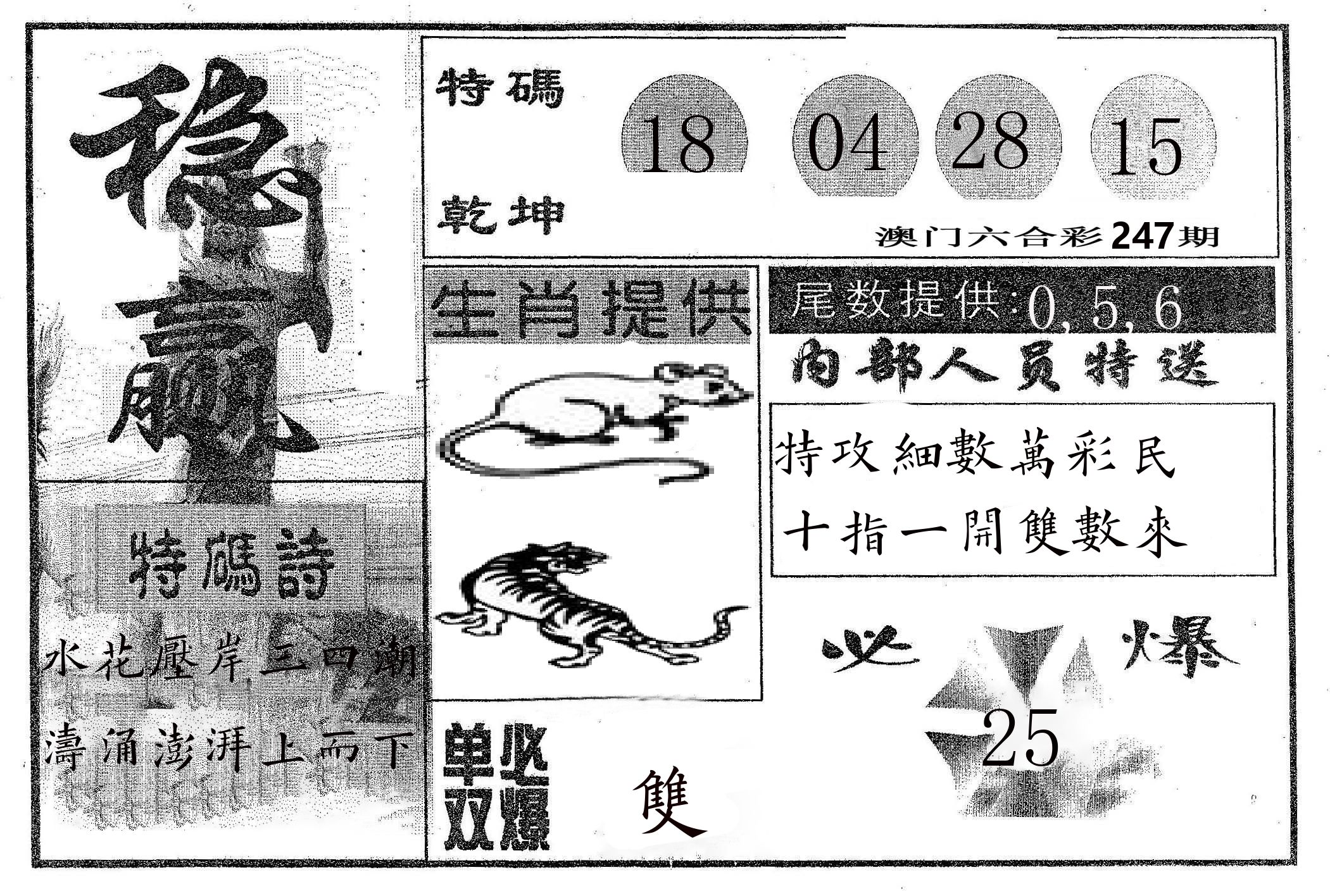稳赢 第247期