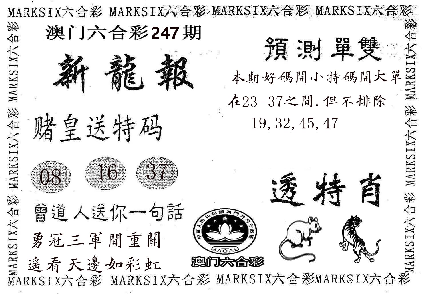 新龙报 第247期