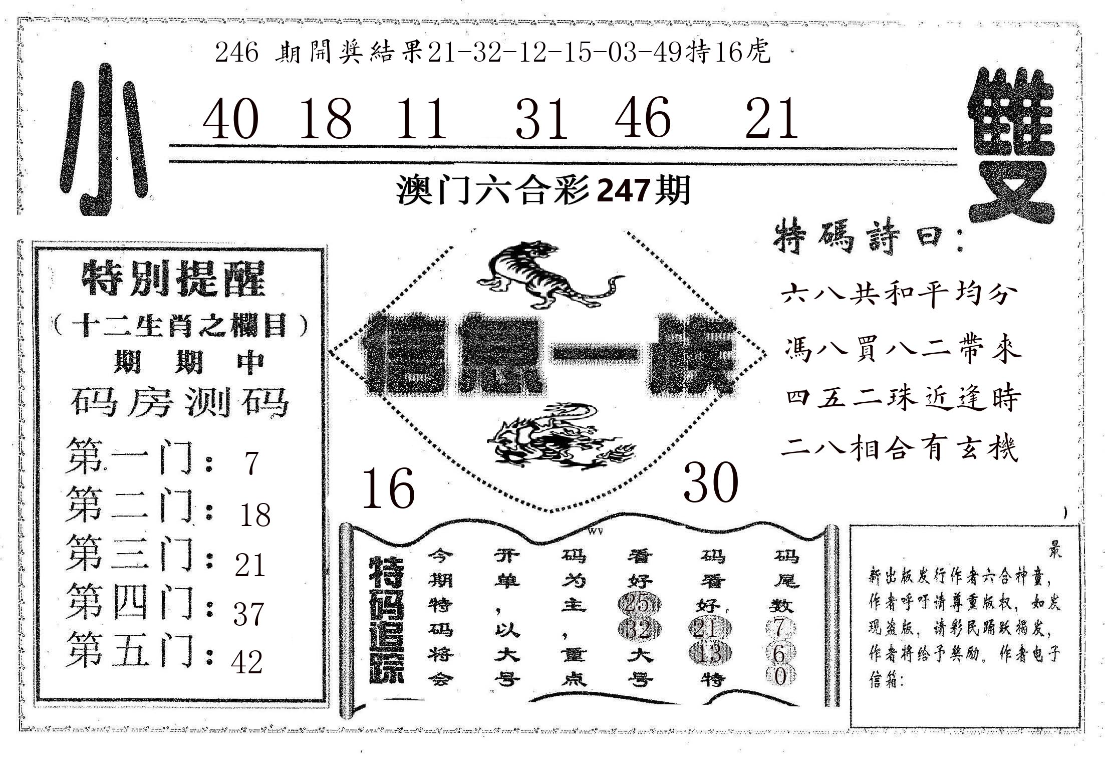 信息一族 第247期