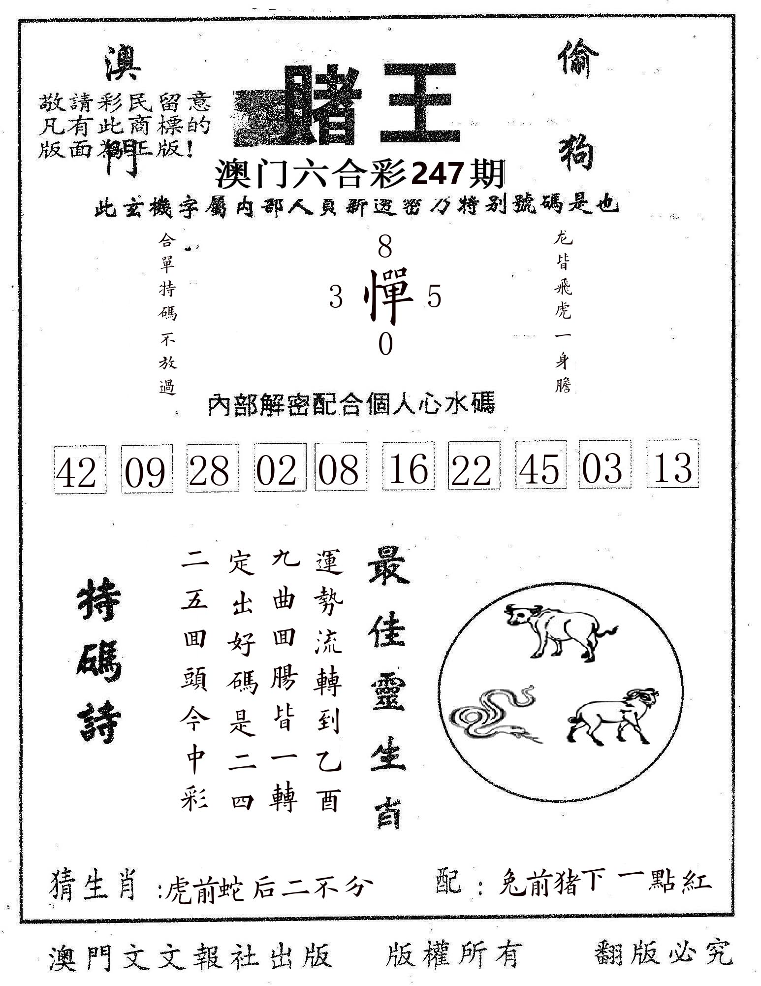 赌王 第247期