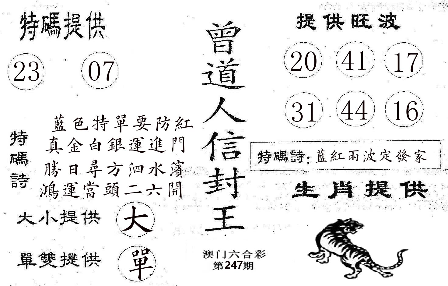 曾信封王 第247期