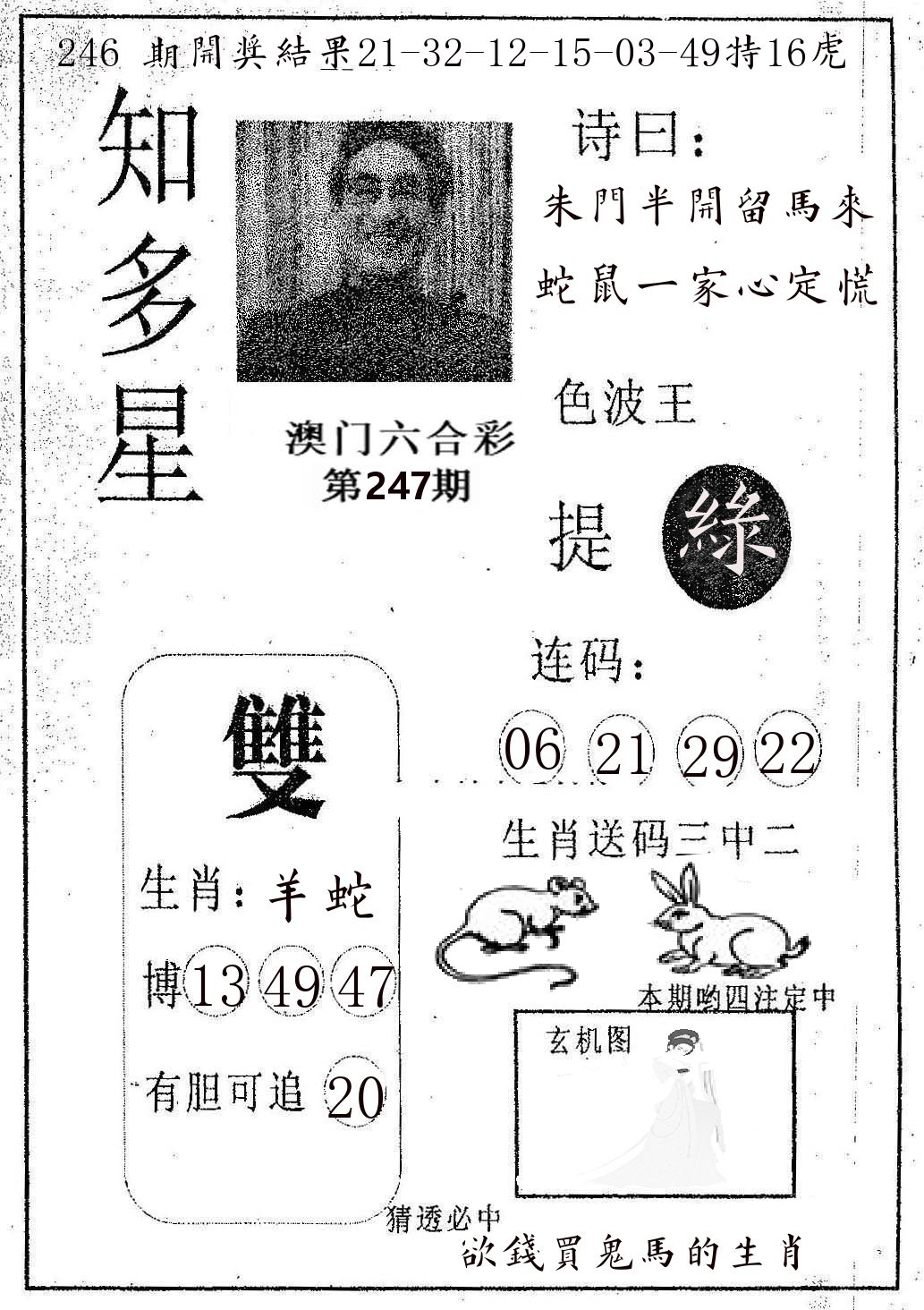 知多星 第247期