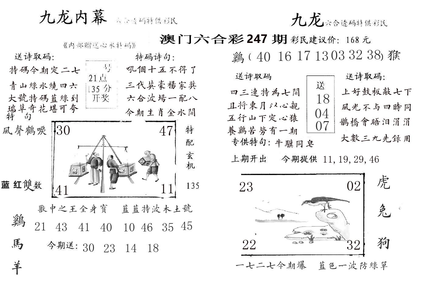 九龙内幕 第247期