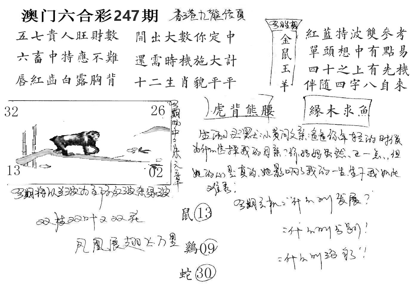 澳门手写九龙 第247期