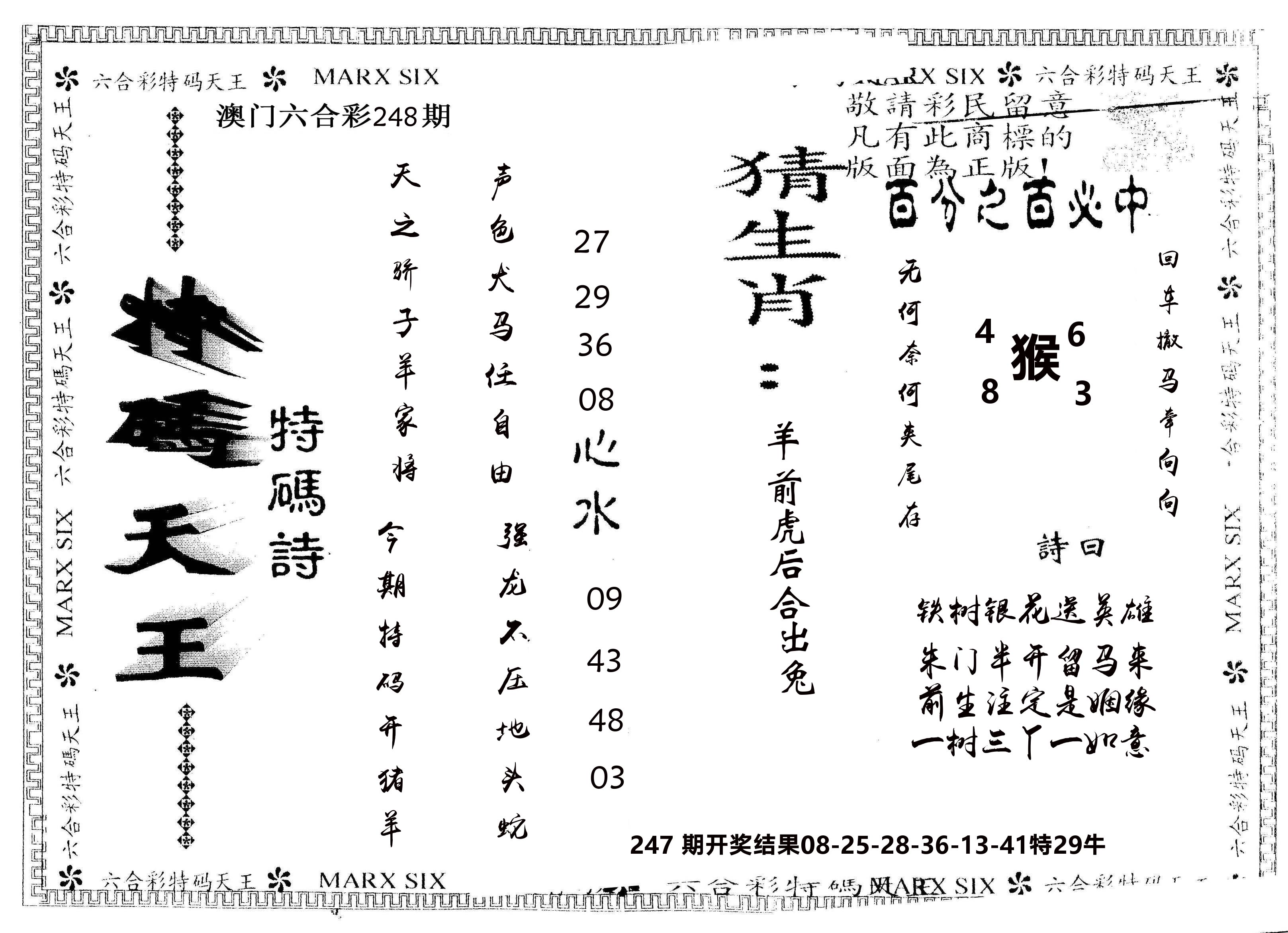 另版特码天王 第248期