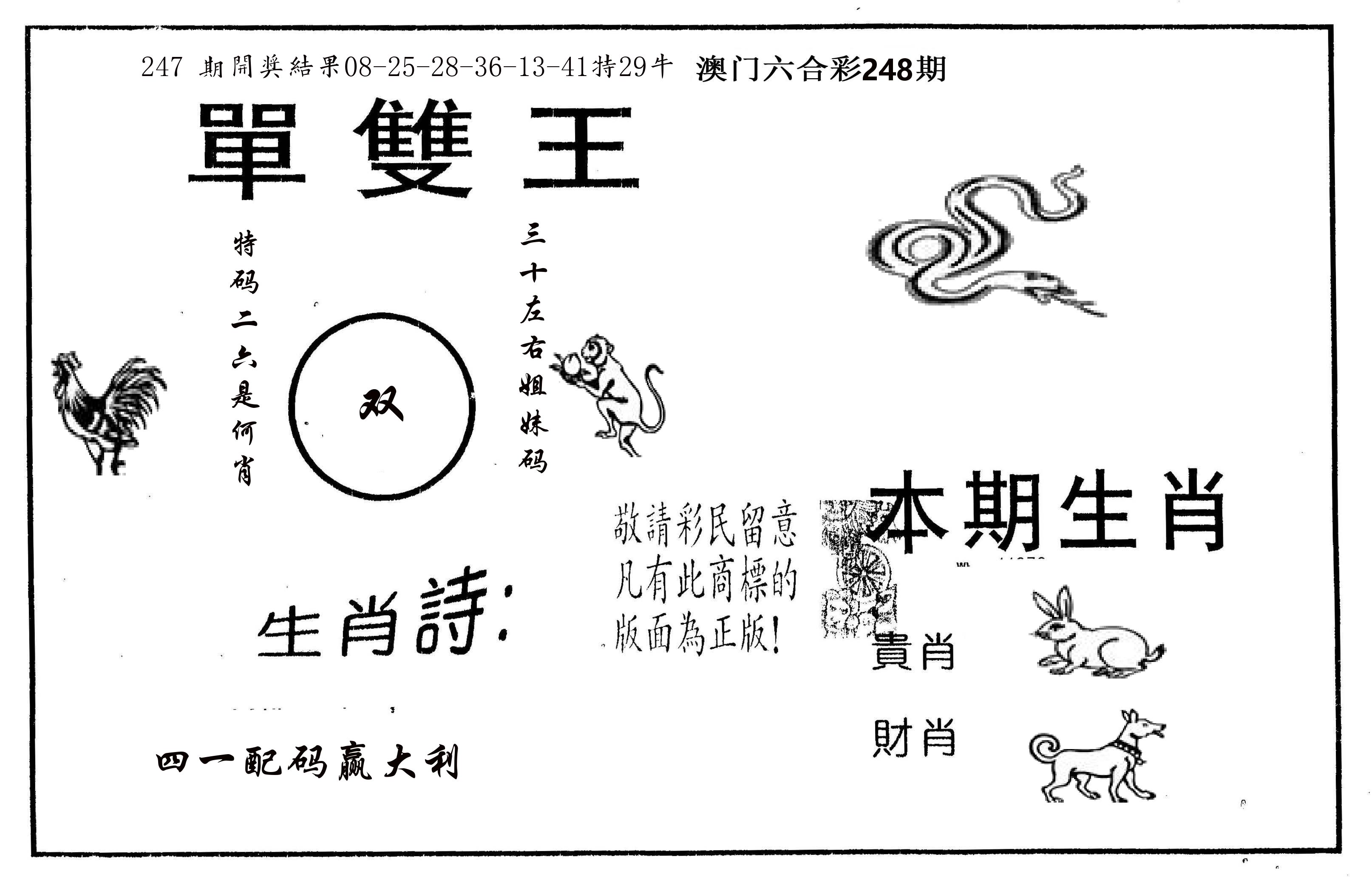 单双王A 第248期