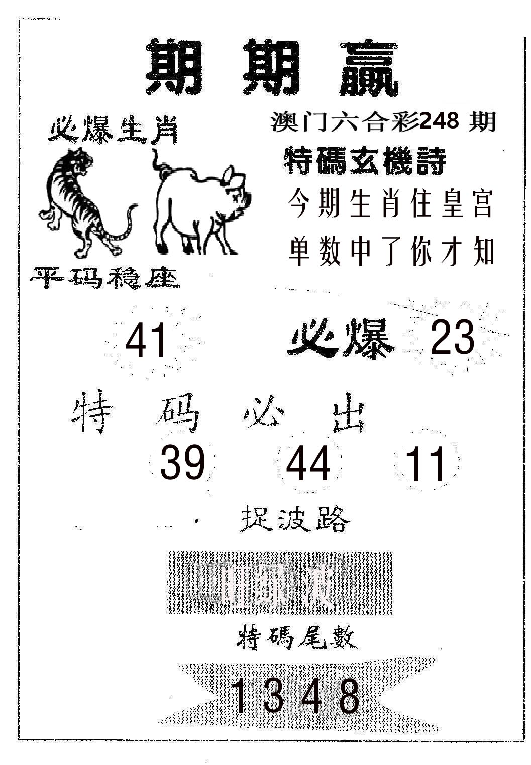 期期赢 第248期