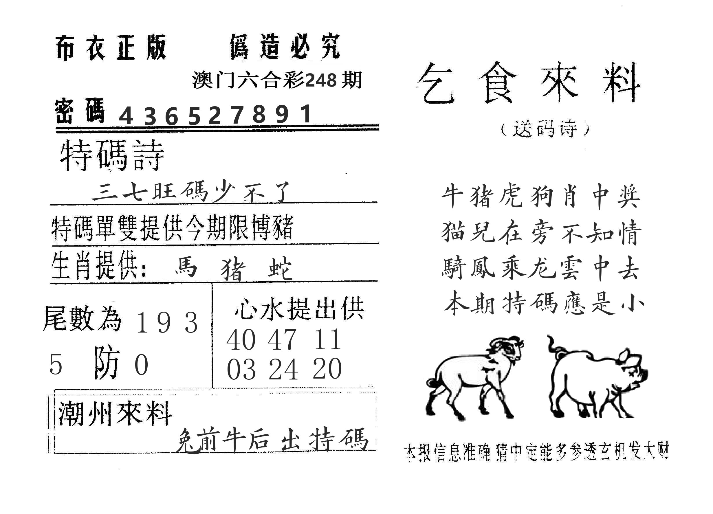 乞食来料 第248期