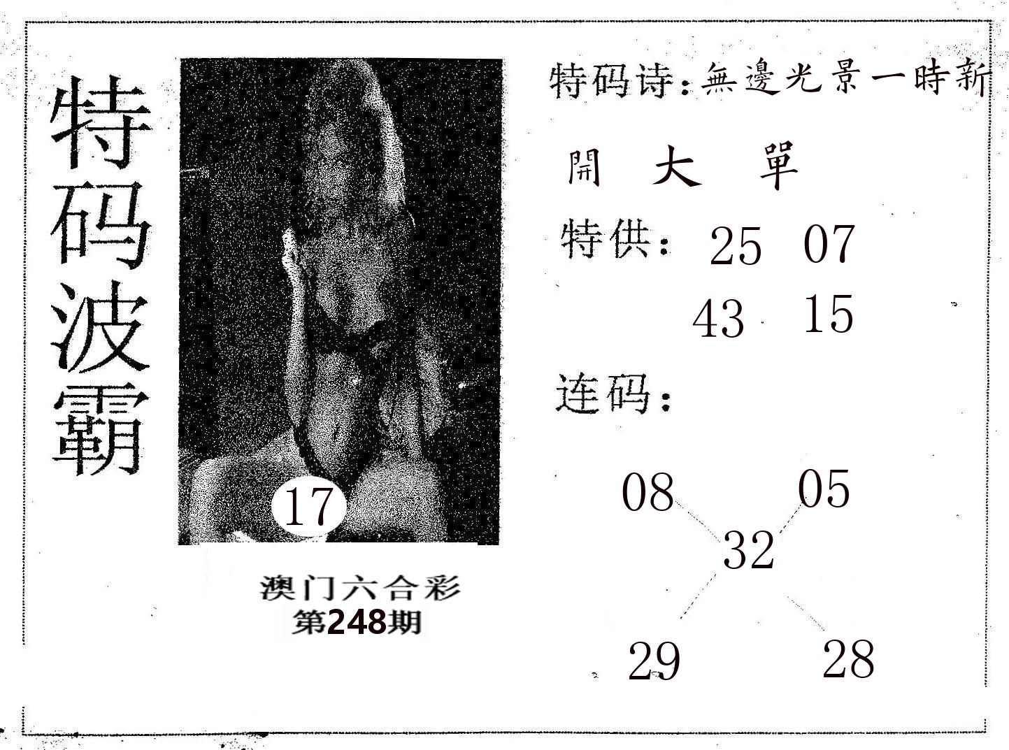 特码波霸 第248期