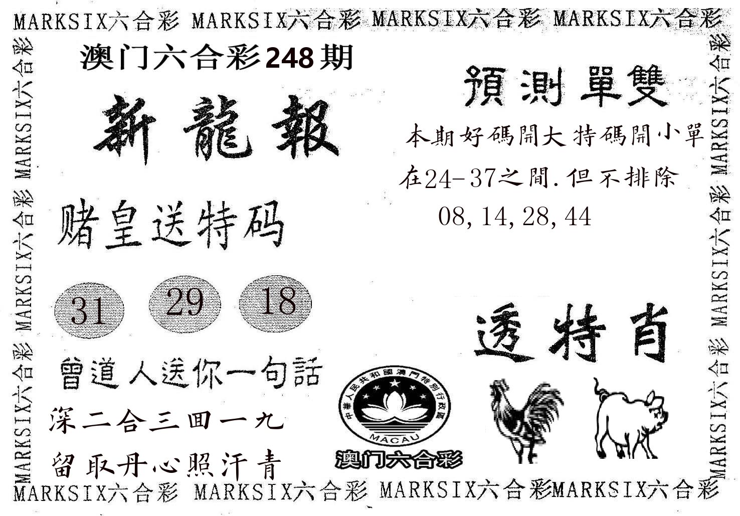 新龙报 第248期